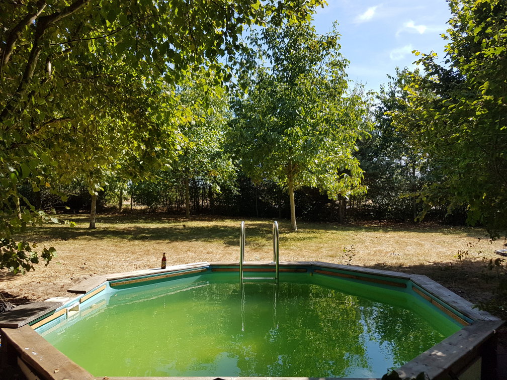 Nature house in Dwingeloo