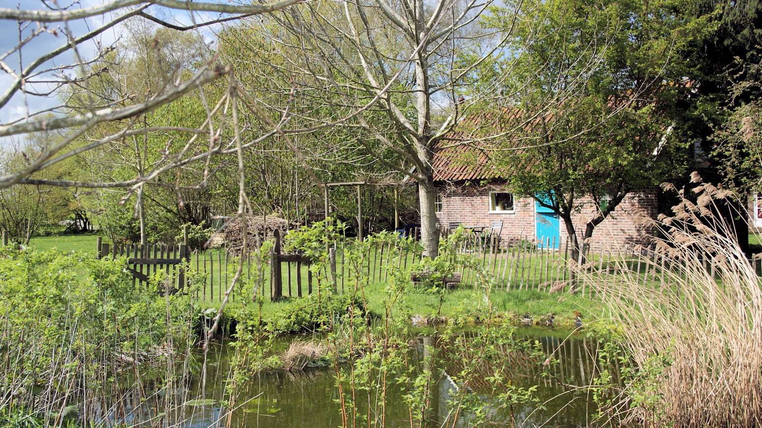 Nature house in Dwingeloo