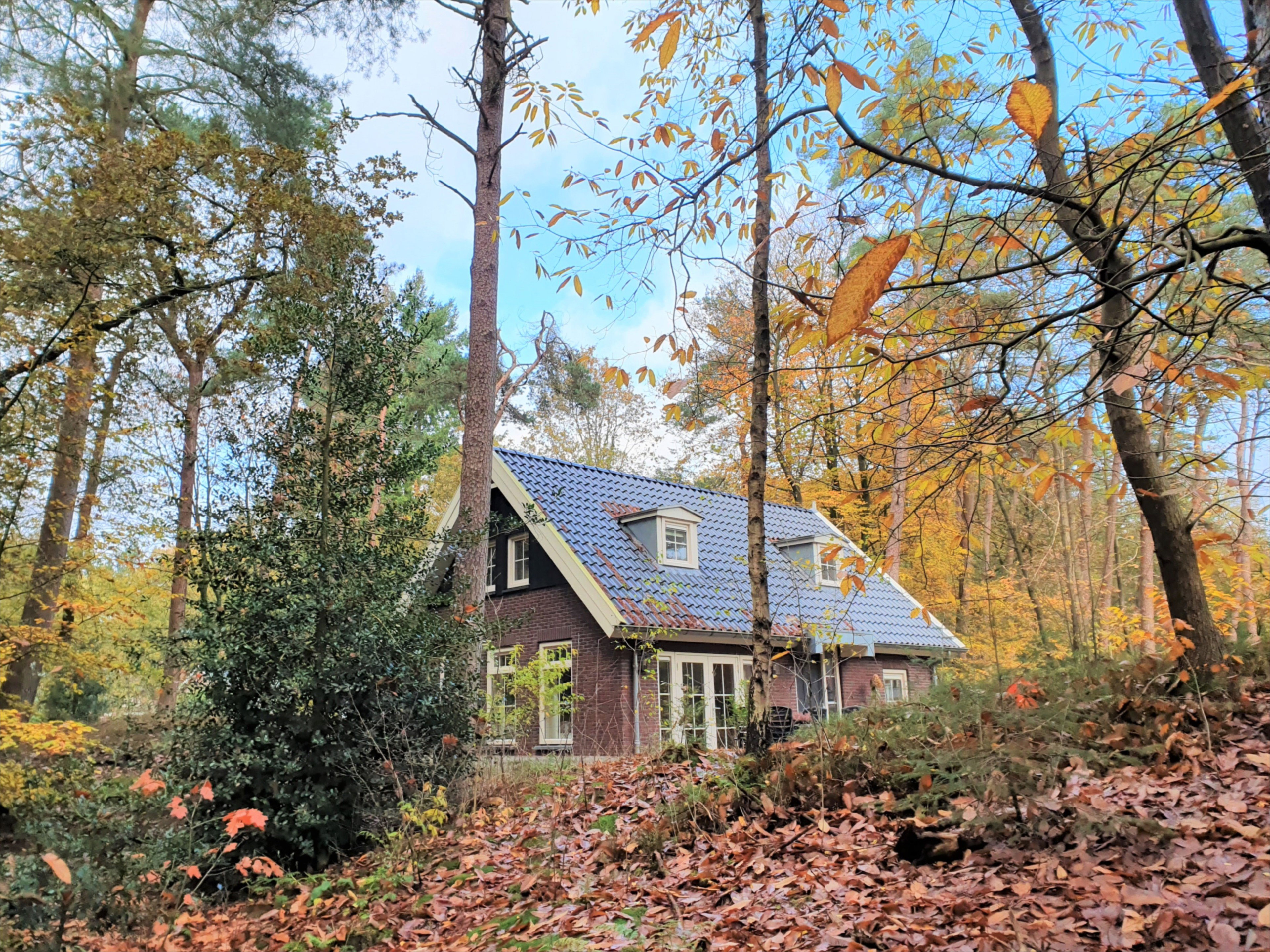 Naturhäuschen in Nunspeet