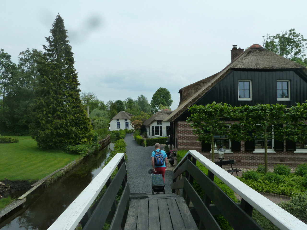 - image: 13