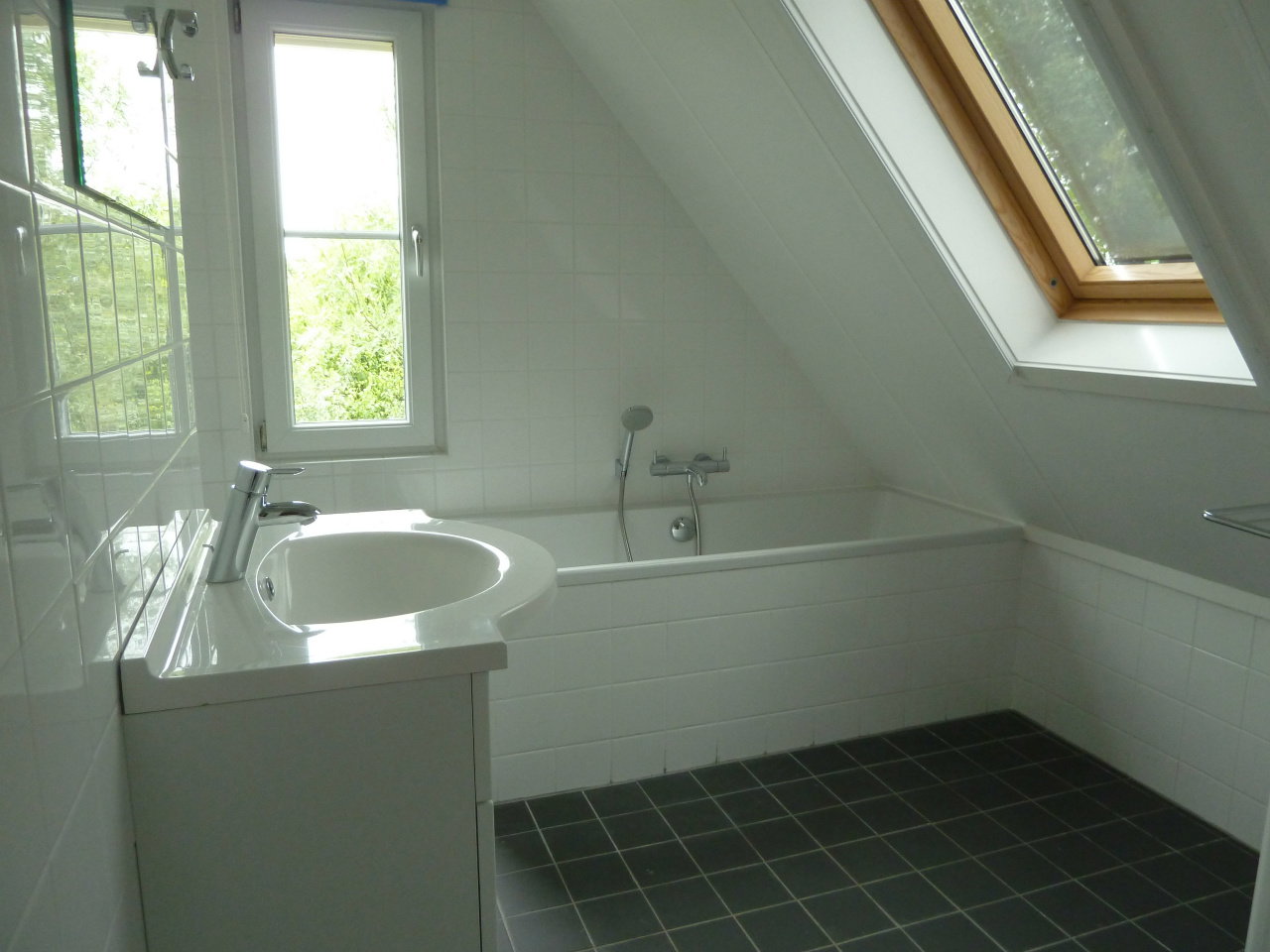 Nature house in Giethoorn