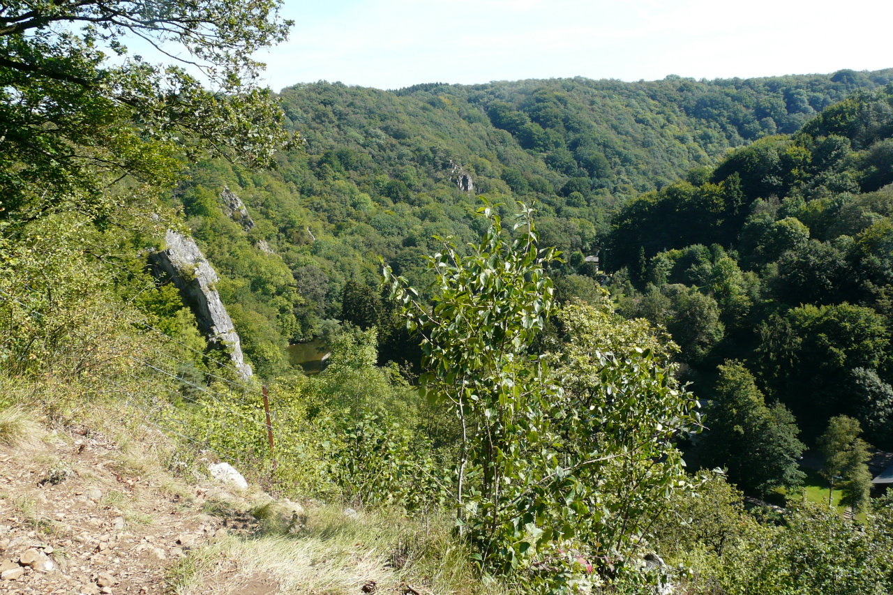 - image: 16