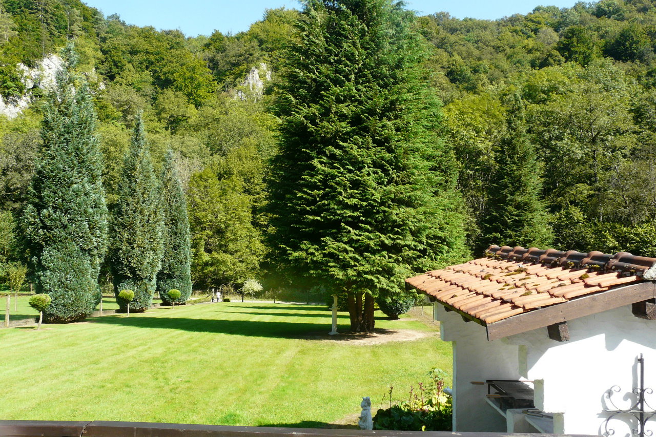 - image: 12
