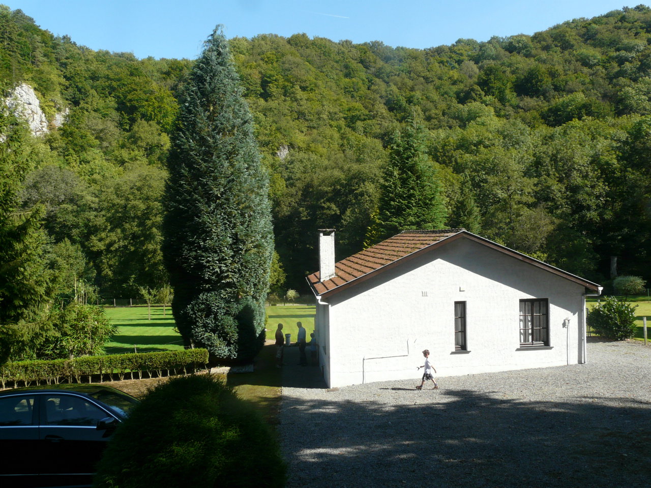 - image: 4