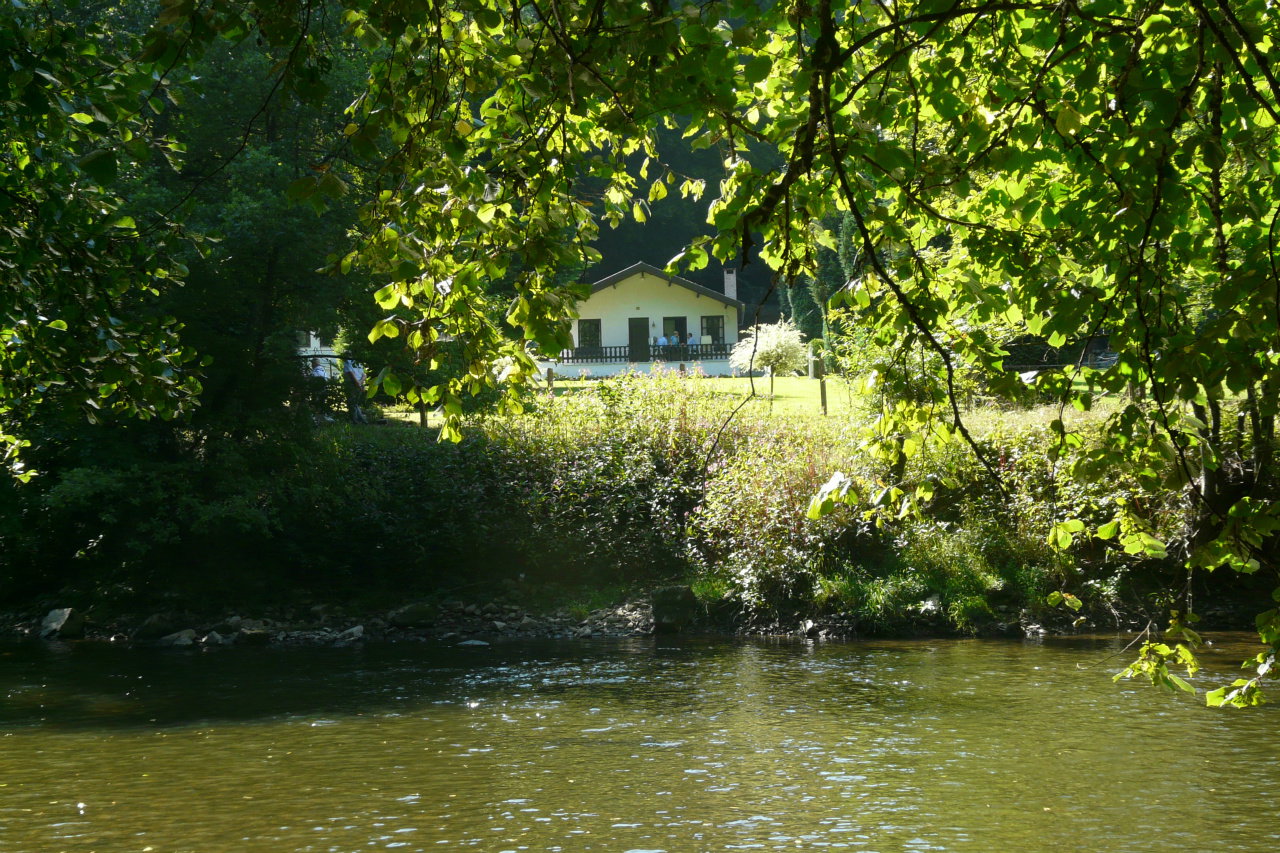 - image: 1