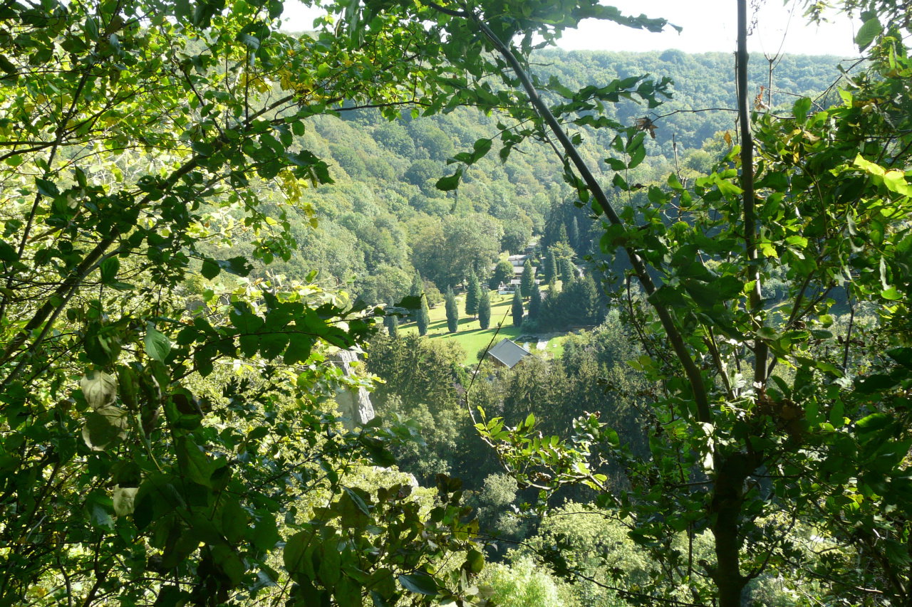 - image: 14