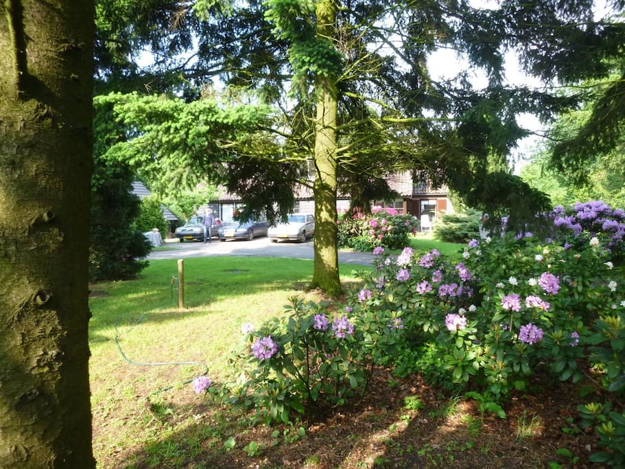 Maison nature à Zelhem