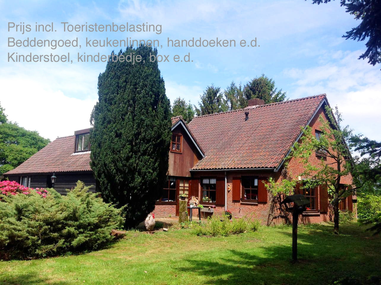 Maison nature à Zelhem