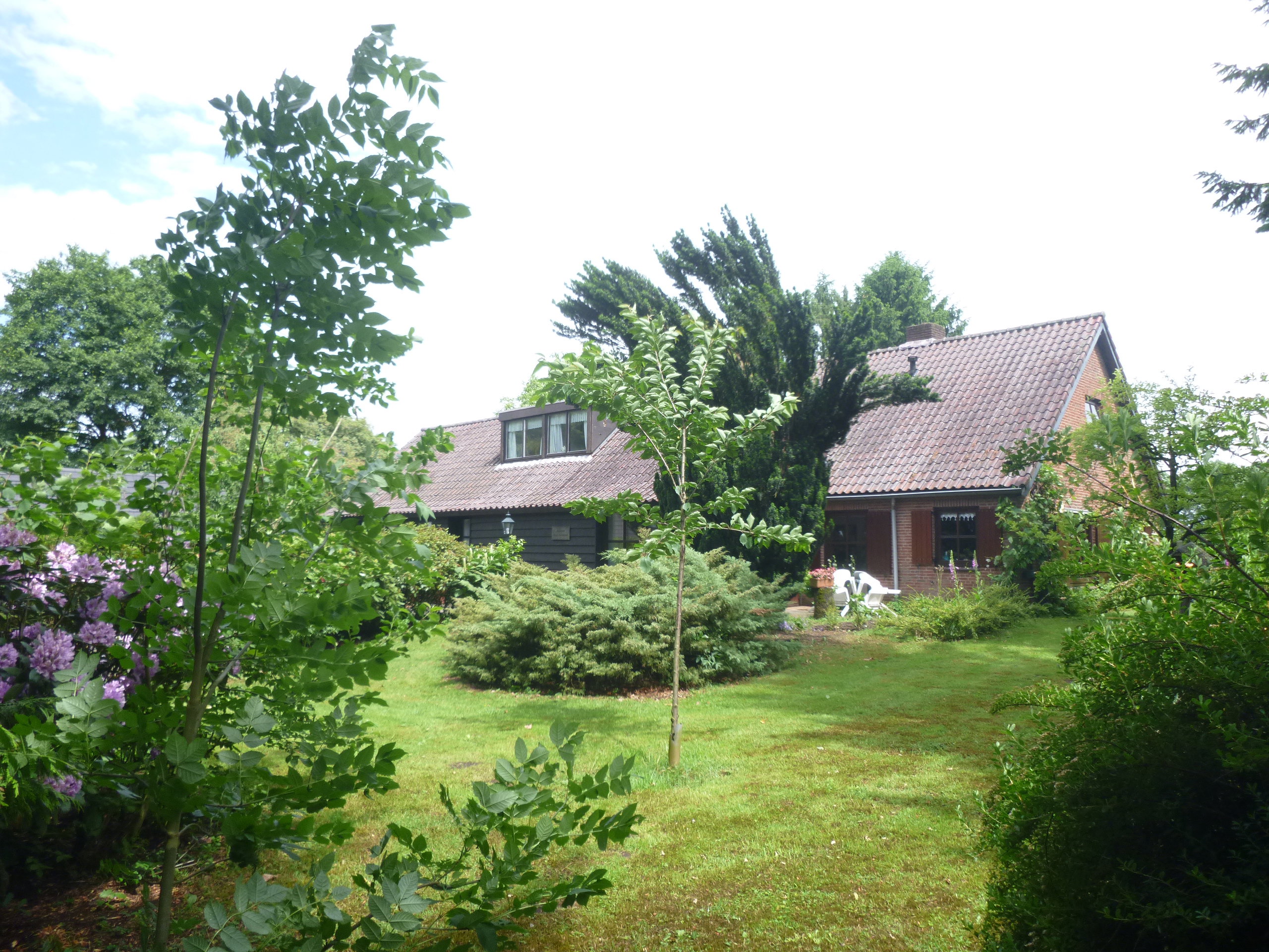 Maison nature à Zelhem