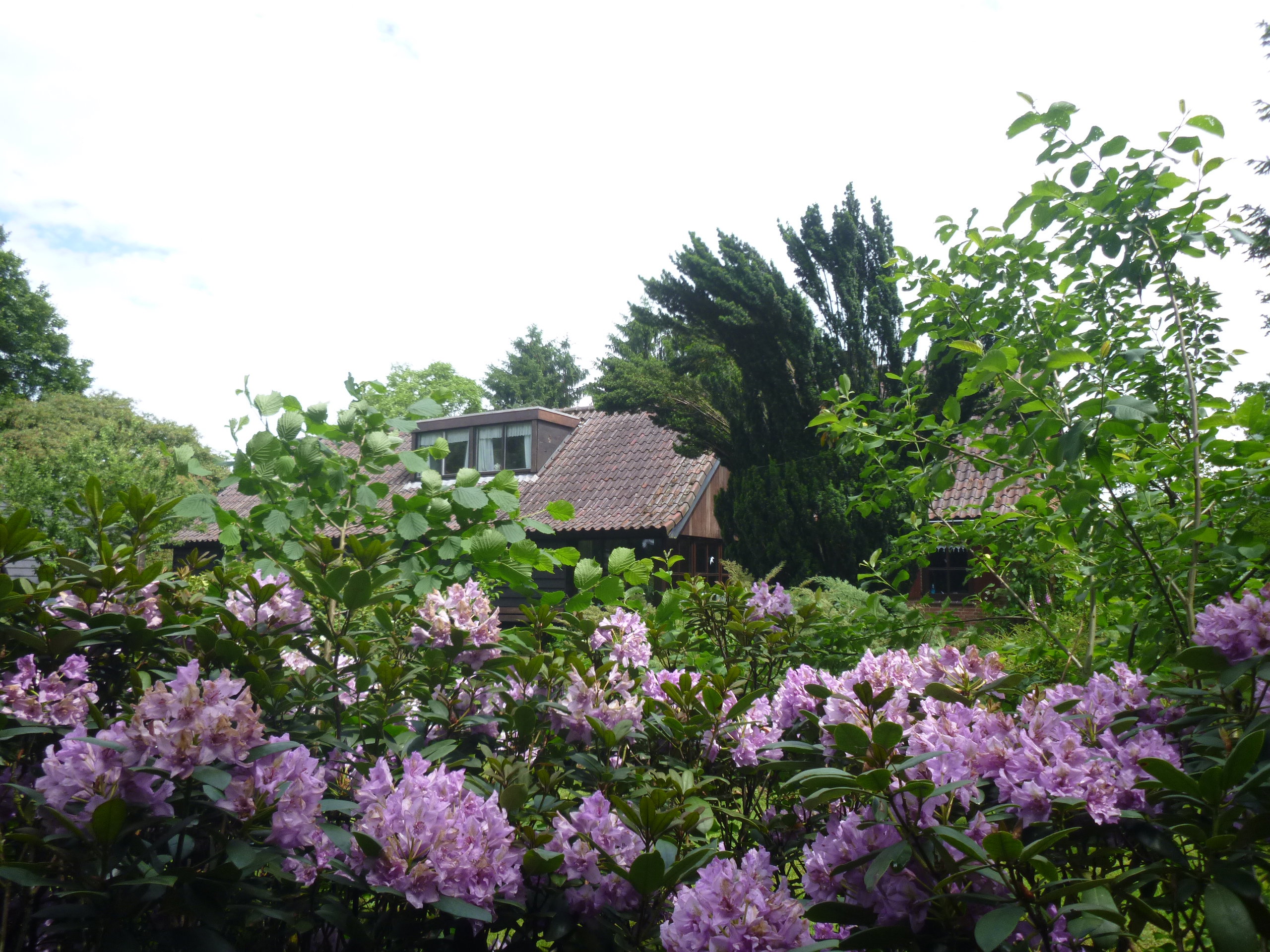 Maison nature à Zelhem
