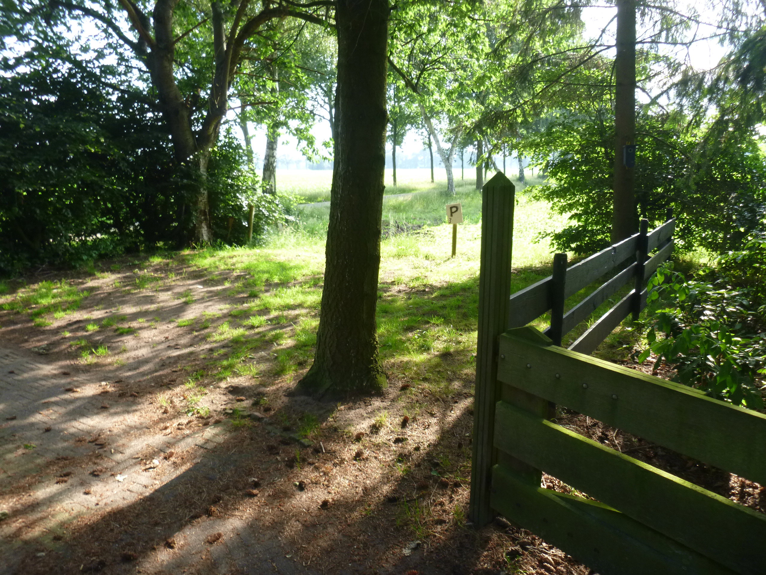 Maison nature à Zelhem