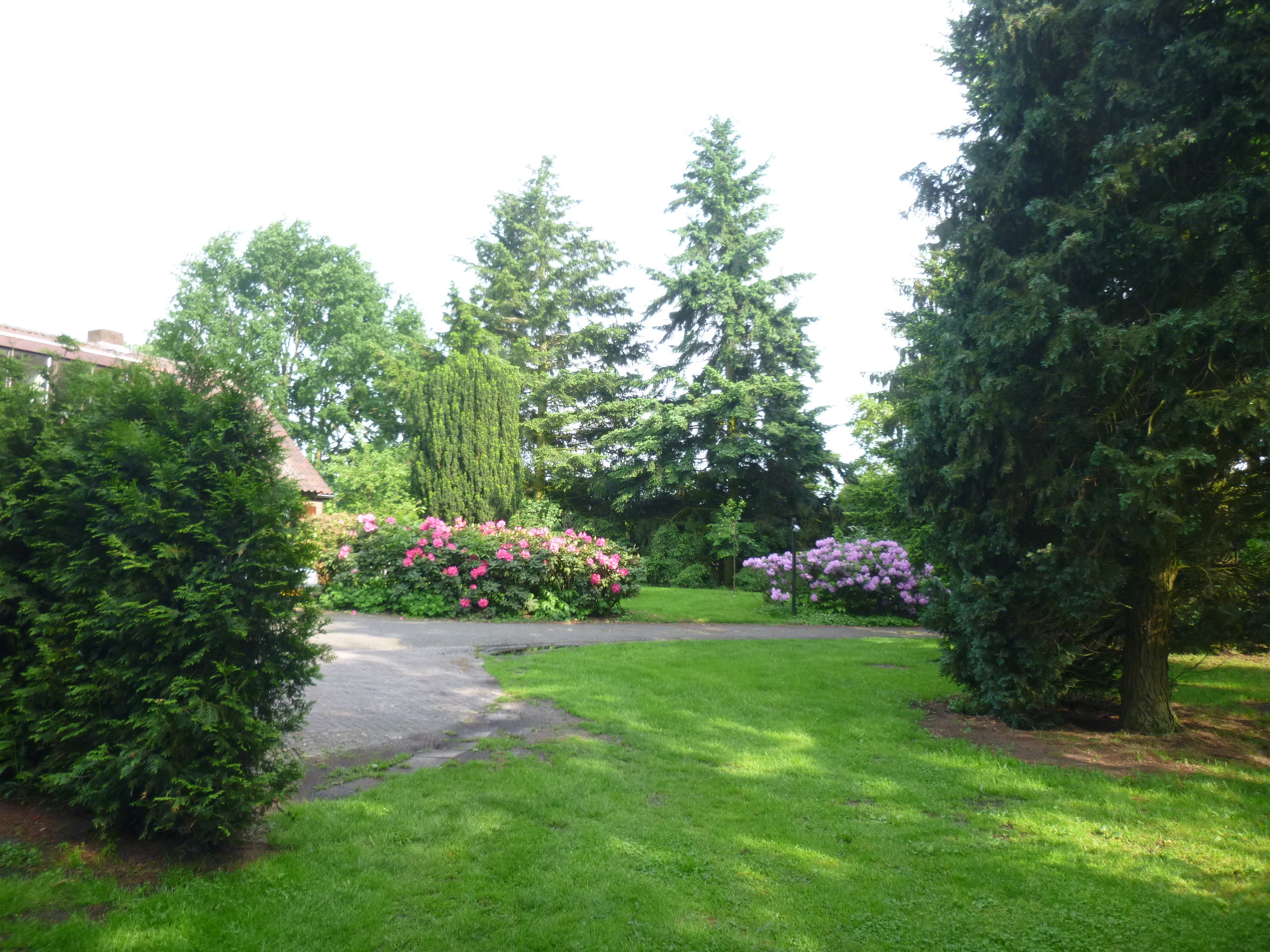 Maison nature à Zelhem