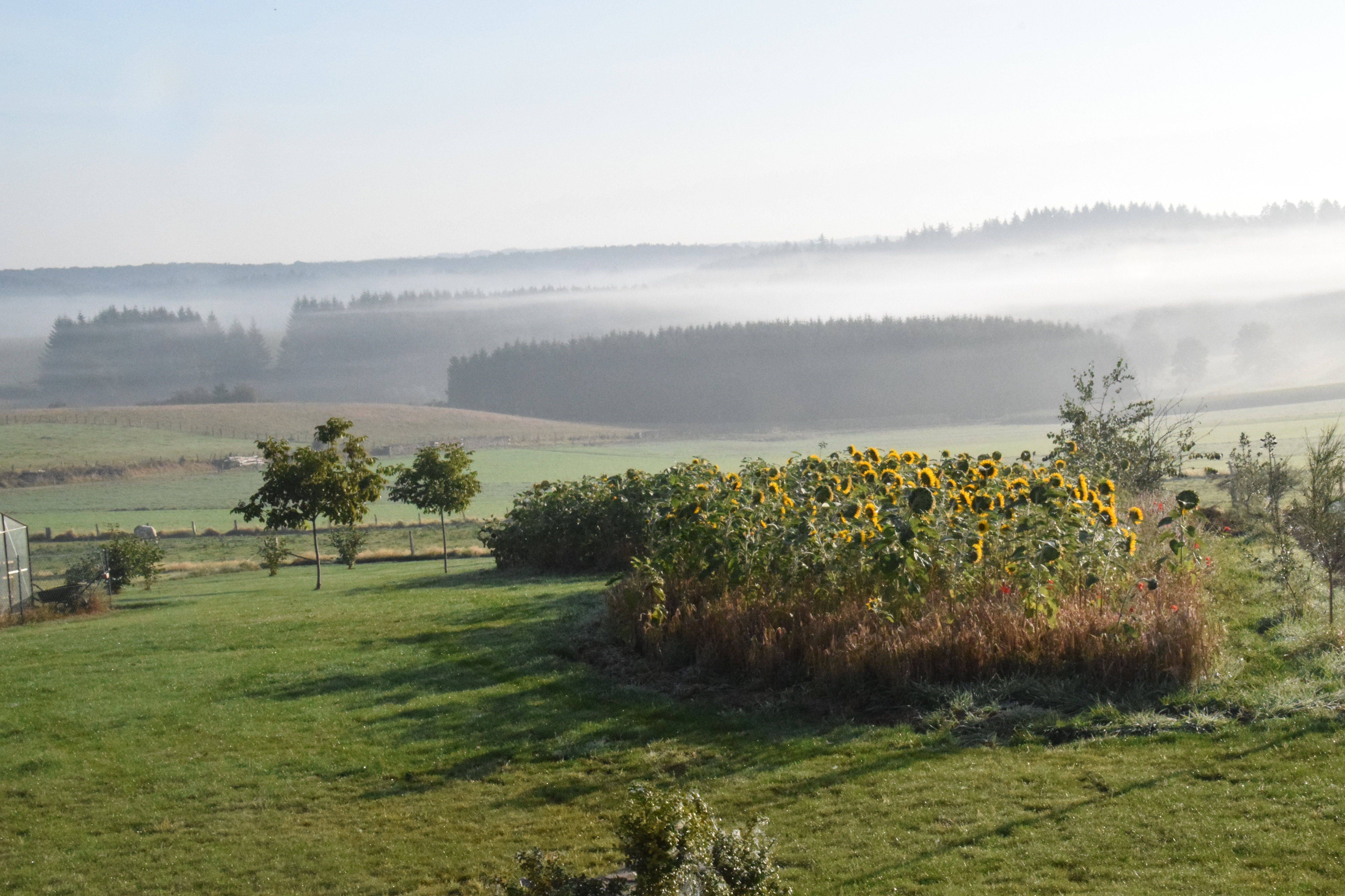 Nature house in Bellevaux