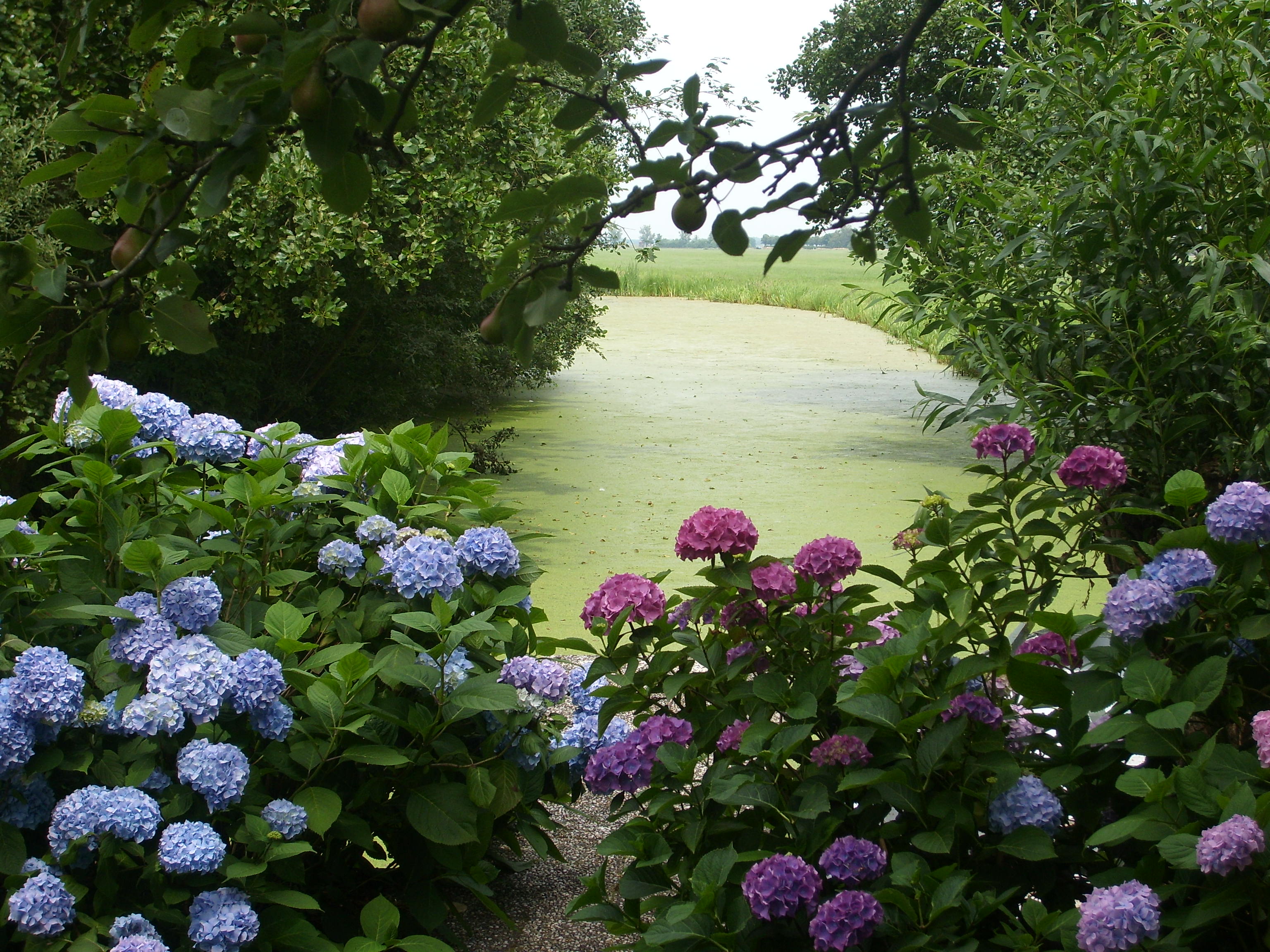 - image: 14