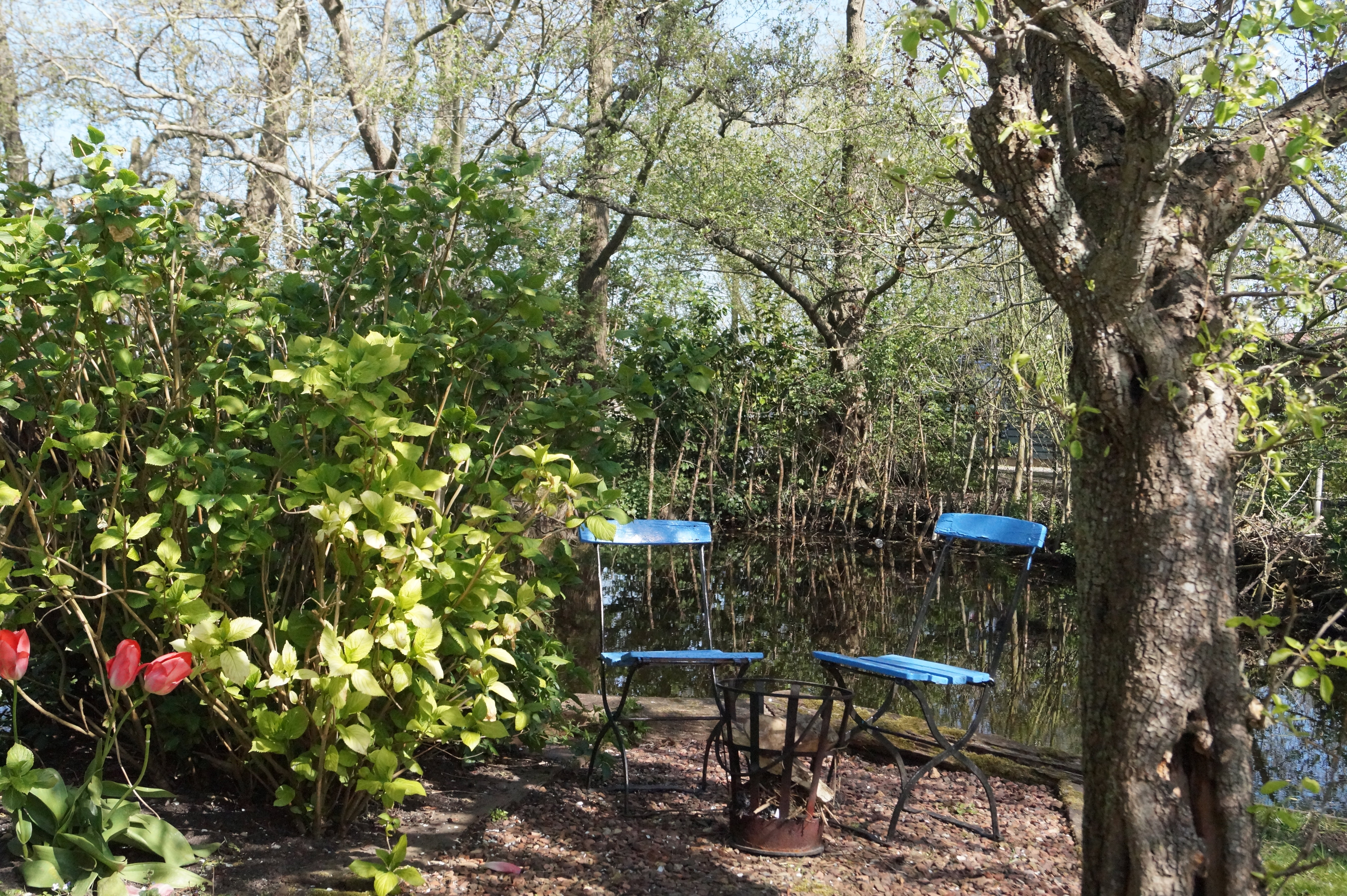 Maison nature à Zegveld