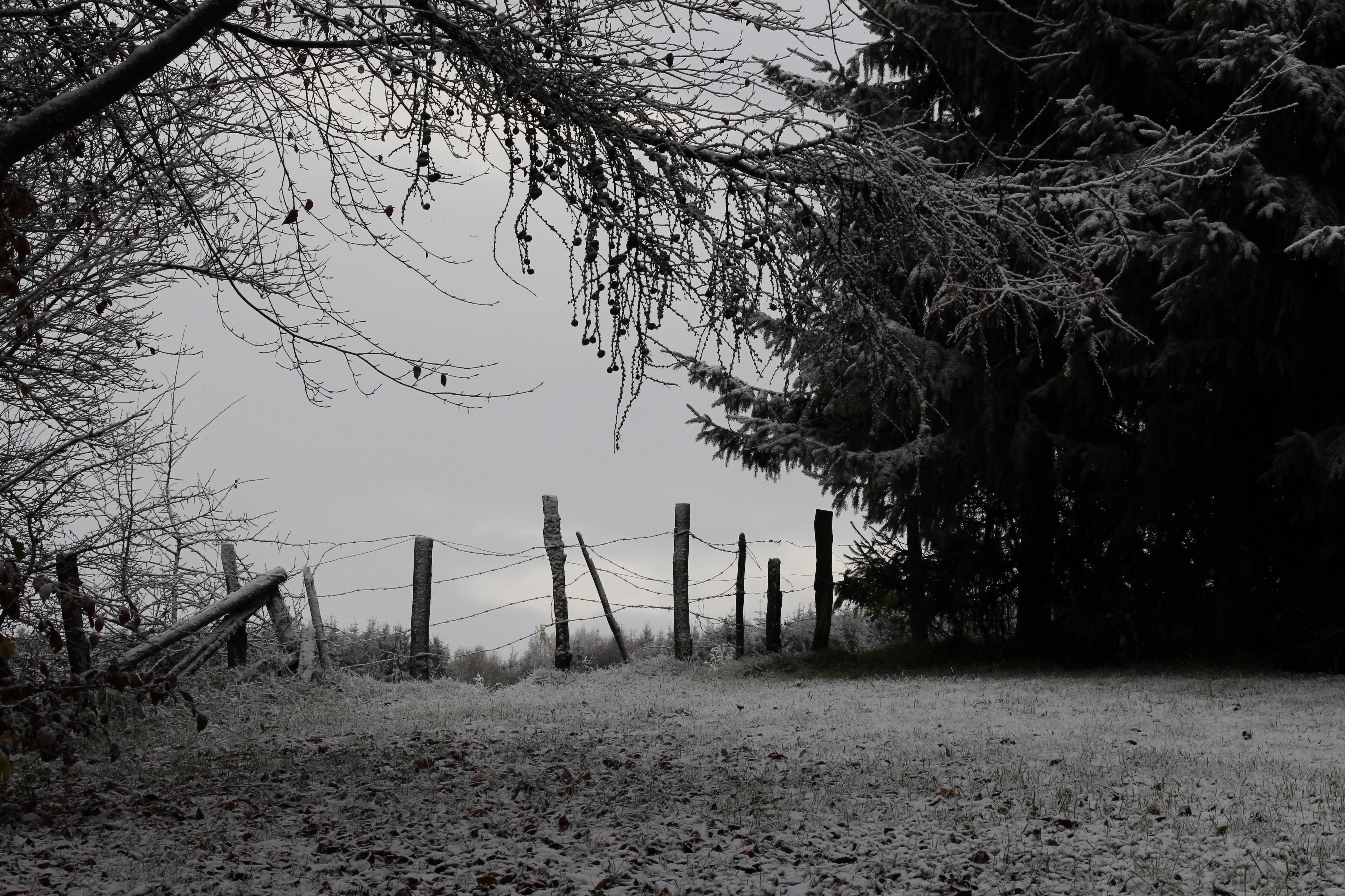 - image: 13