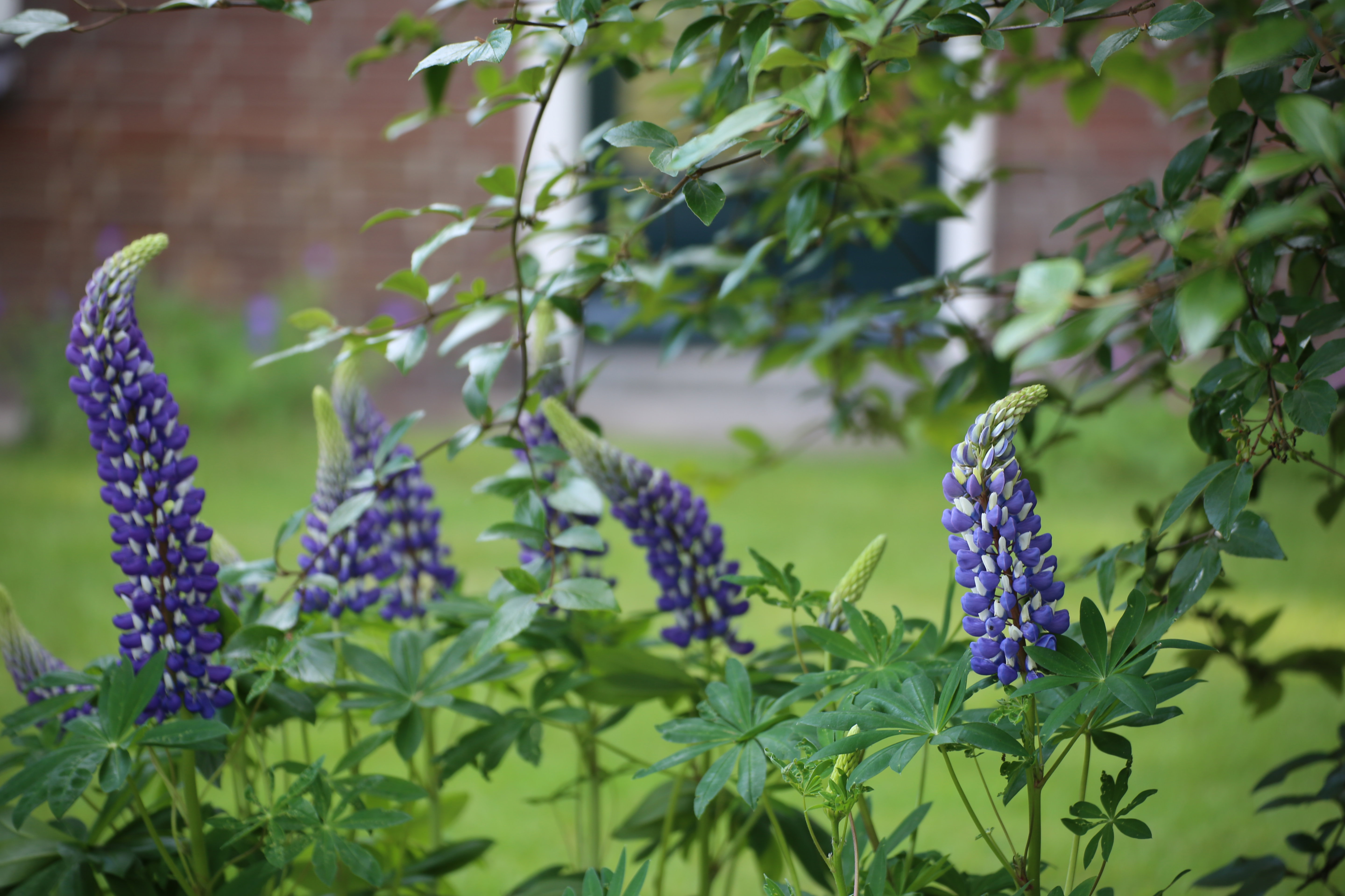 Natuurhuisje in Lievelde
