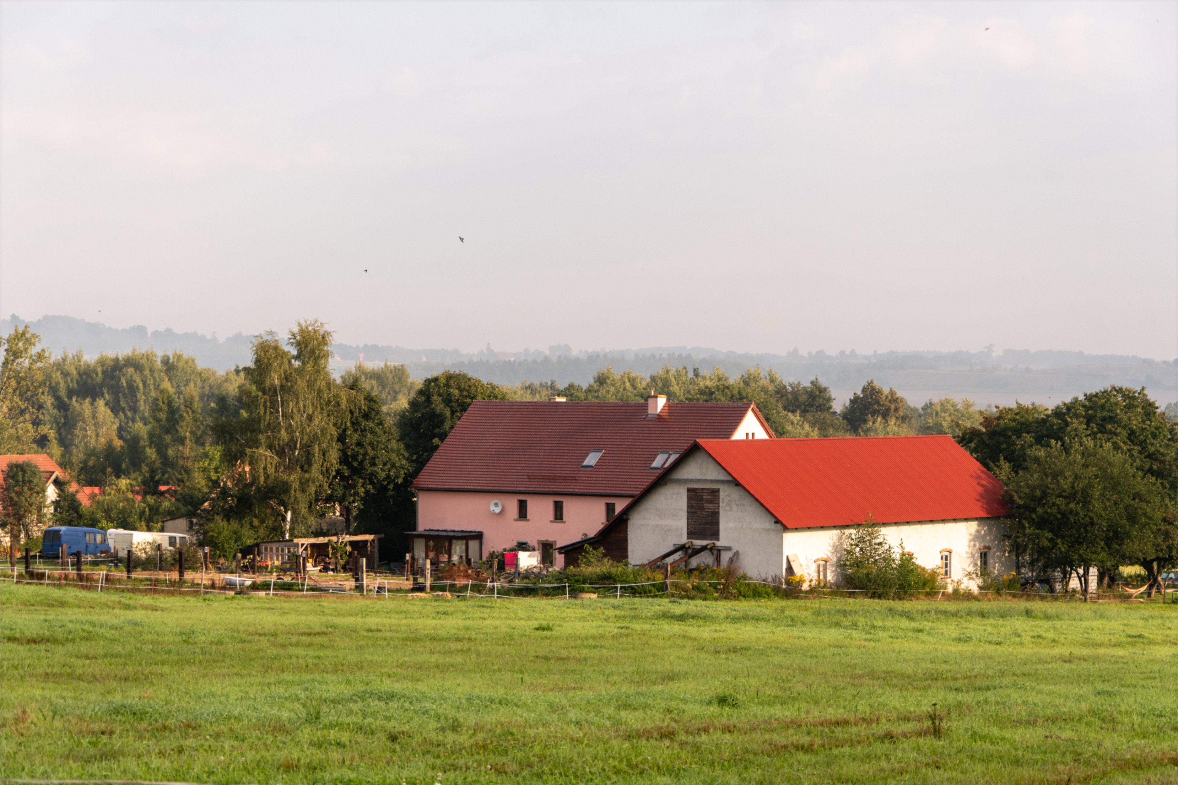 - image: 25