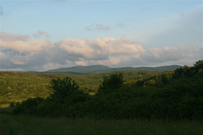 - image: 11