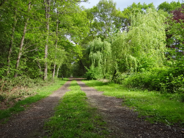- image: 25