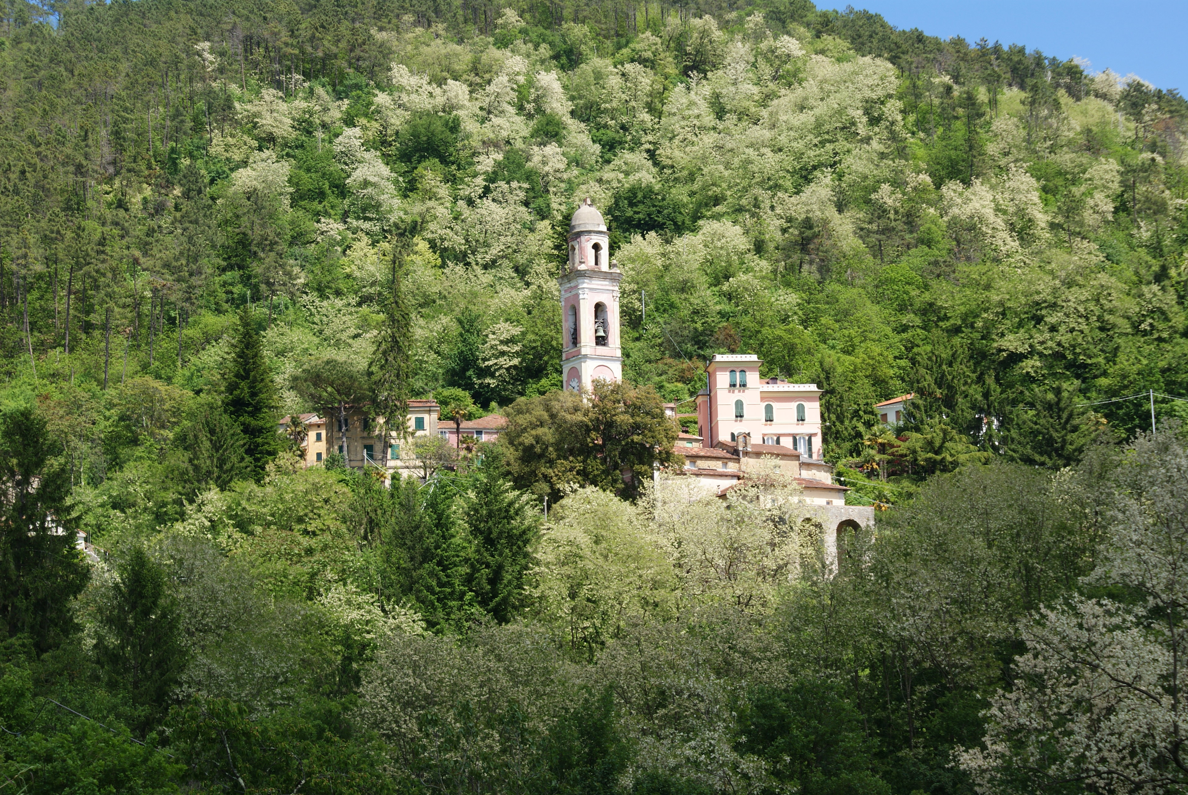 - image: 23