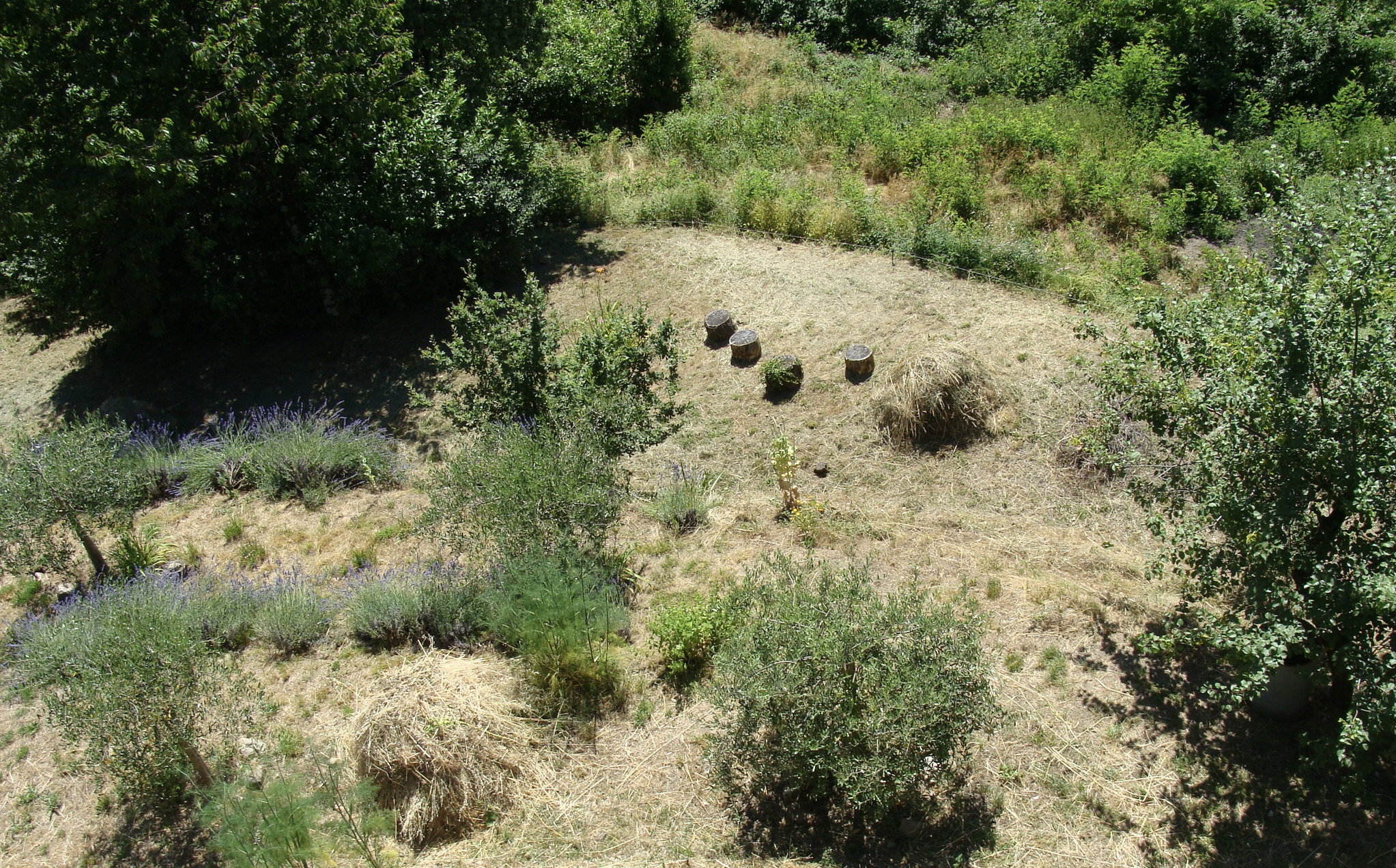 - image: 20