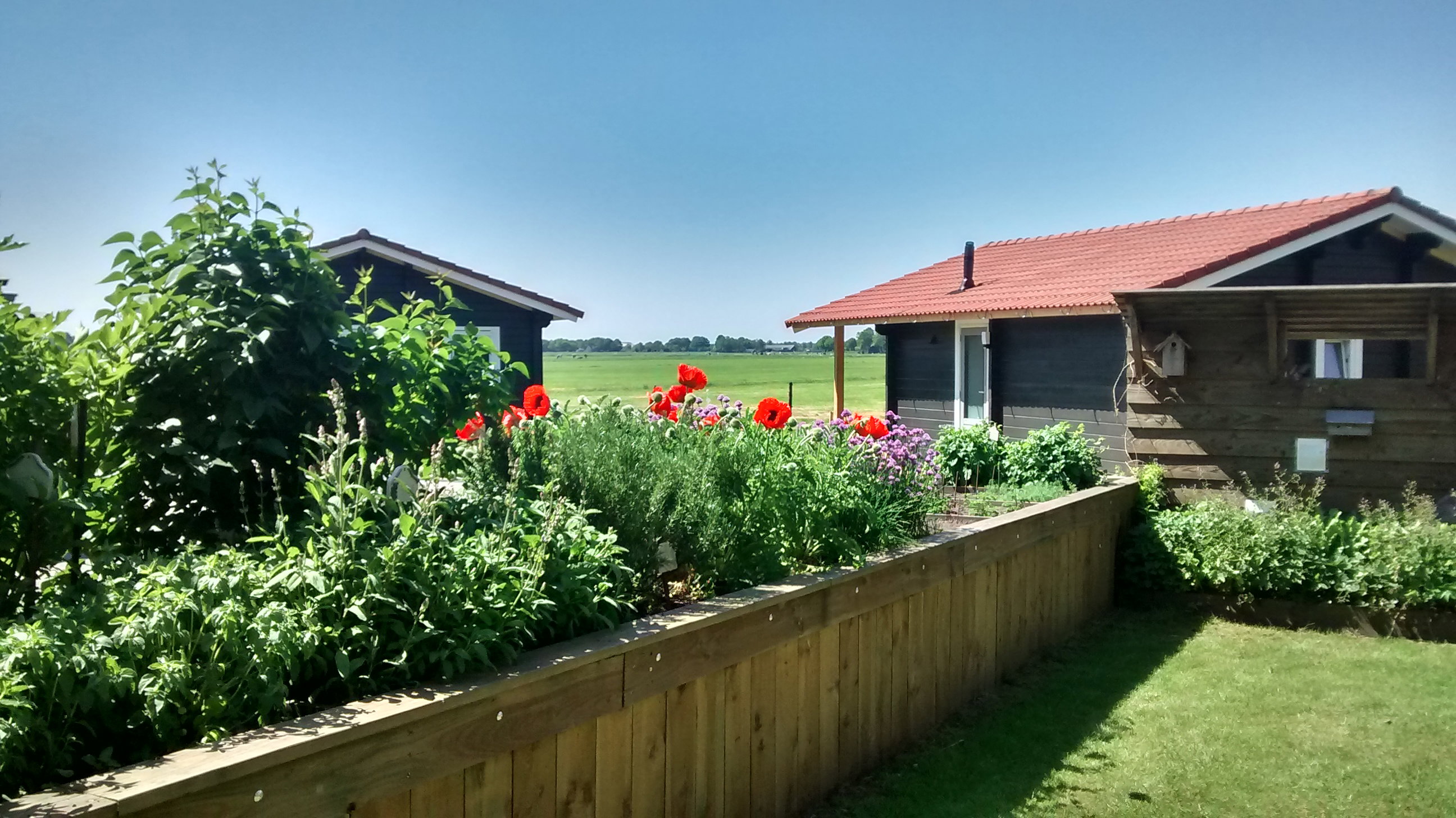 Maison nature à Beilen