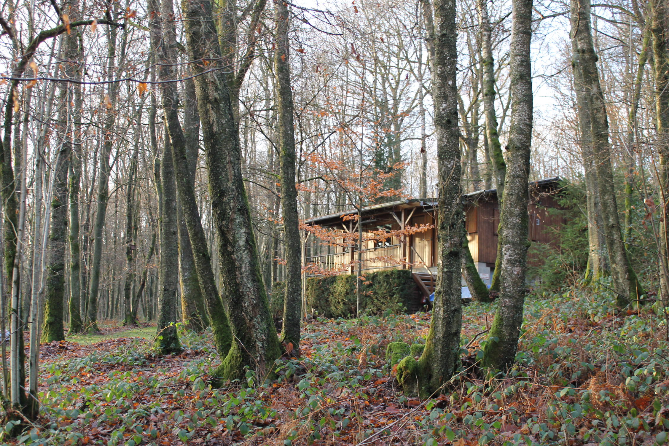 Natuurhuisje in Oignies-en -Thiérache (Viroinval)