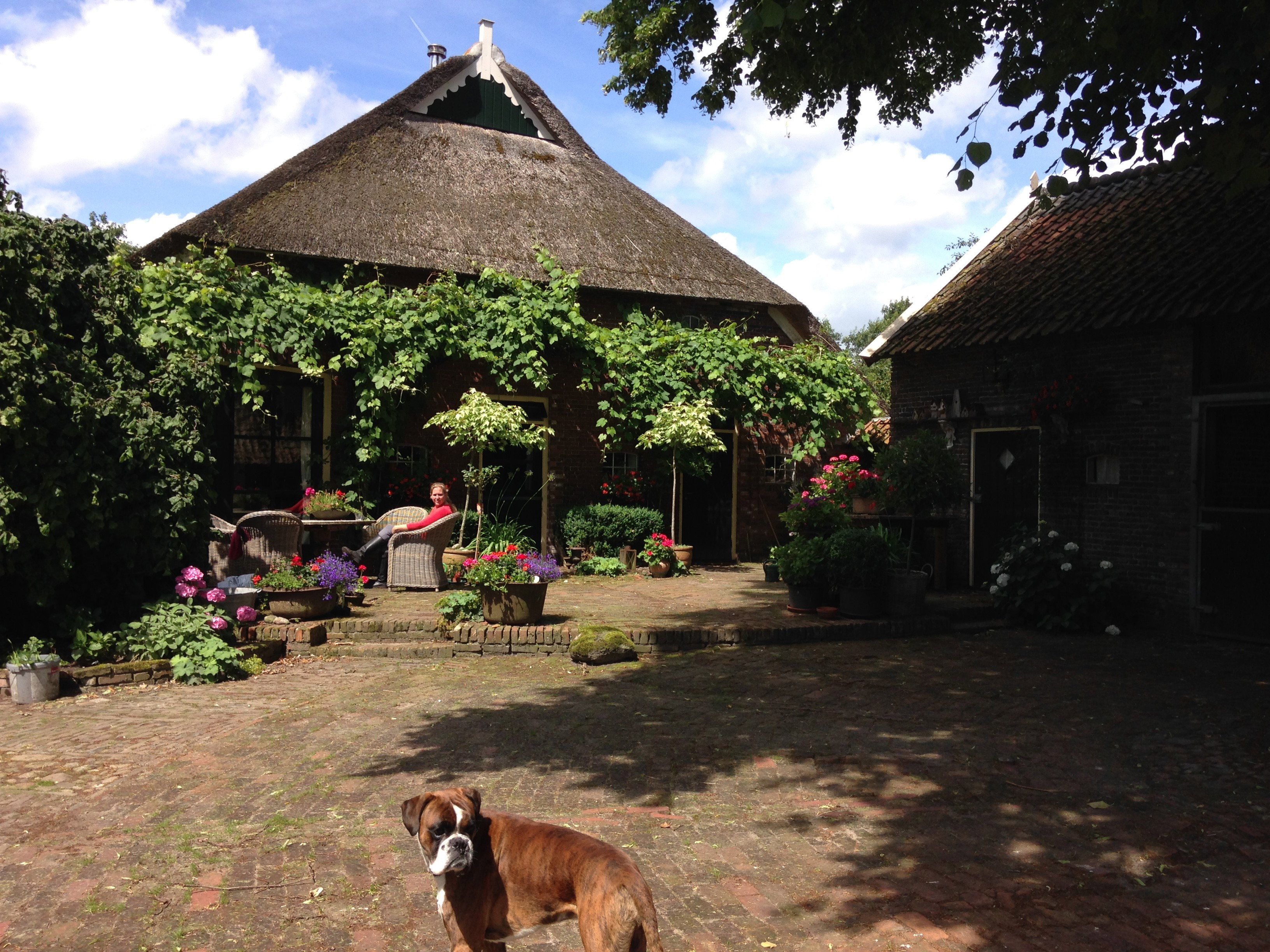 Maison nature à Eexterzandvoort