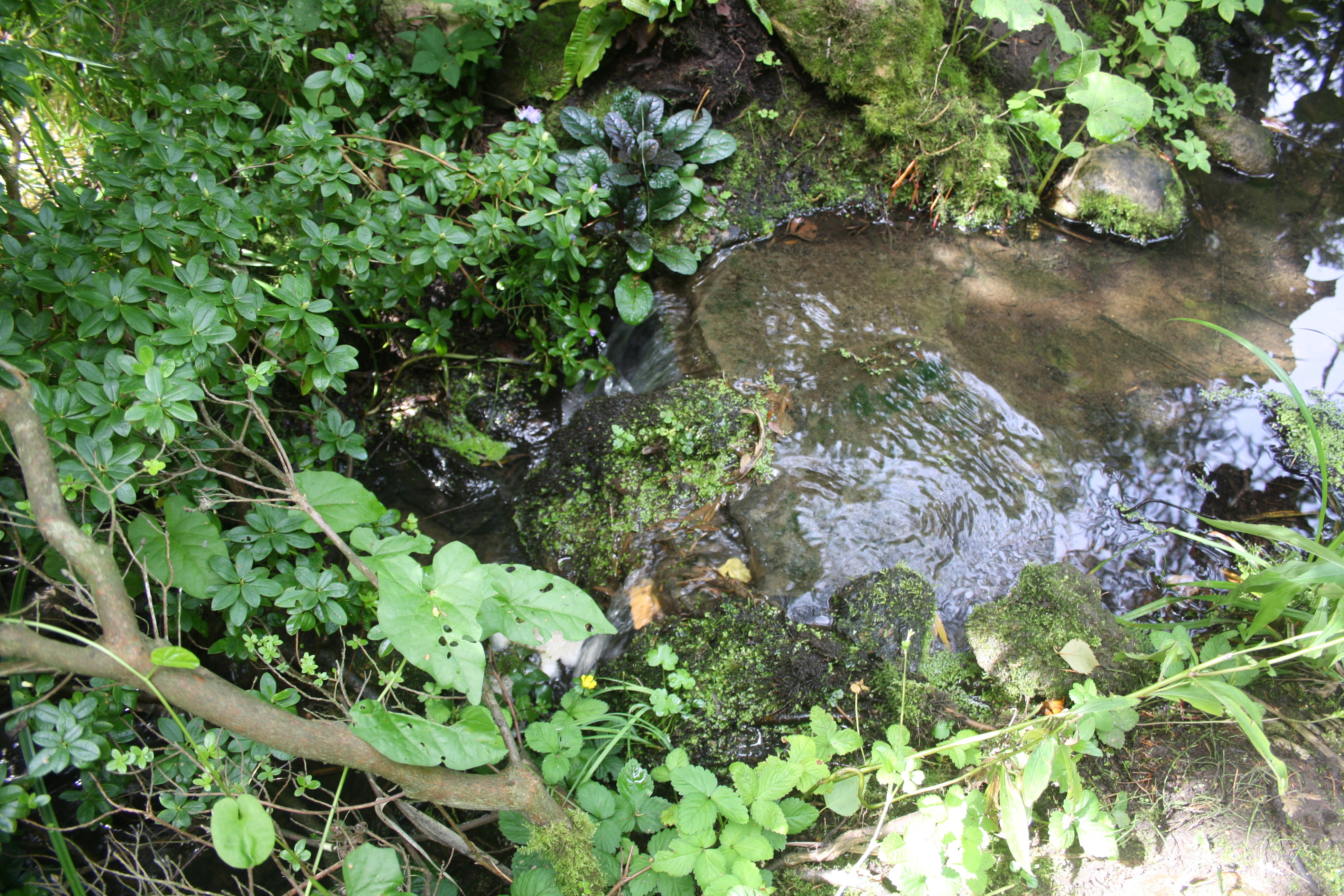 - image: 14
