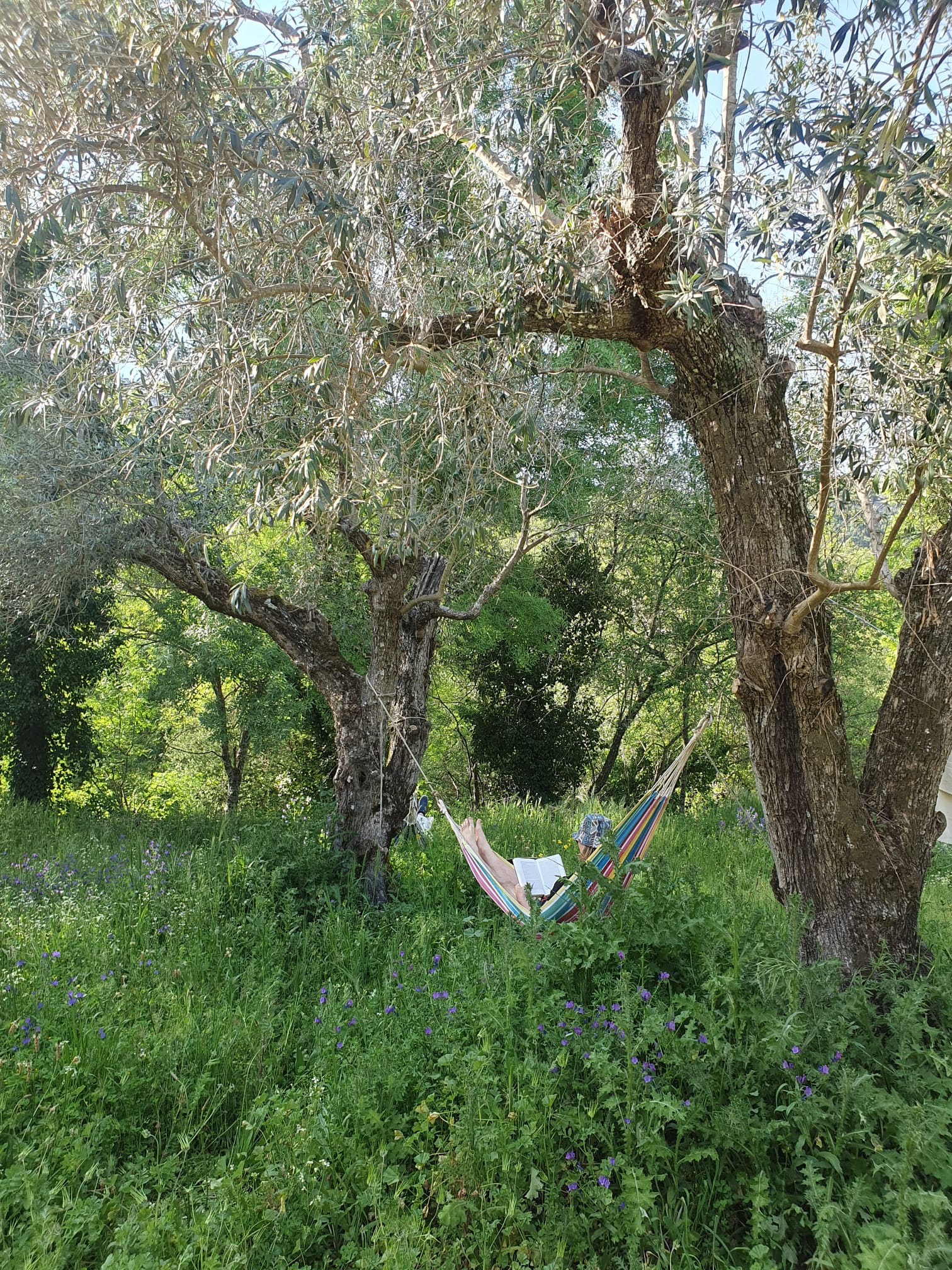 Natuurhuisje in Faia-Guarda