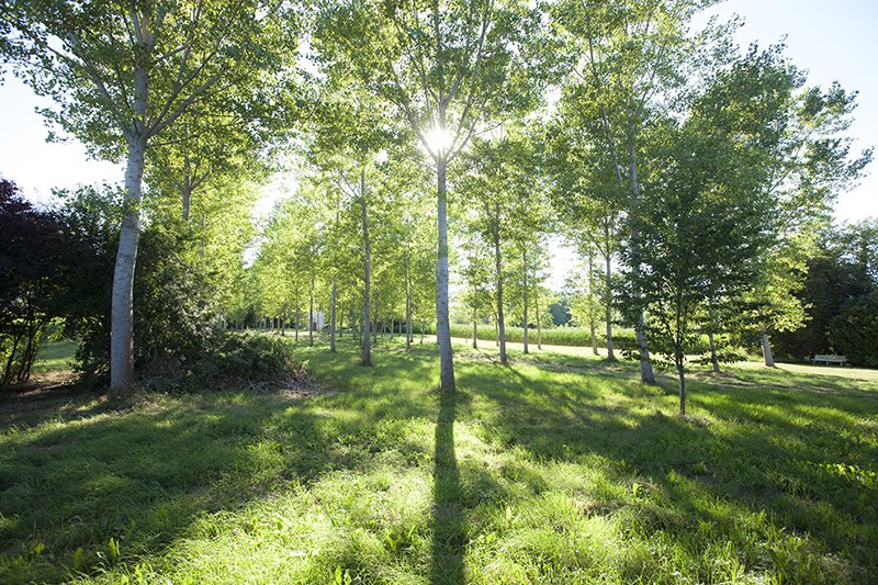 - image: 17