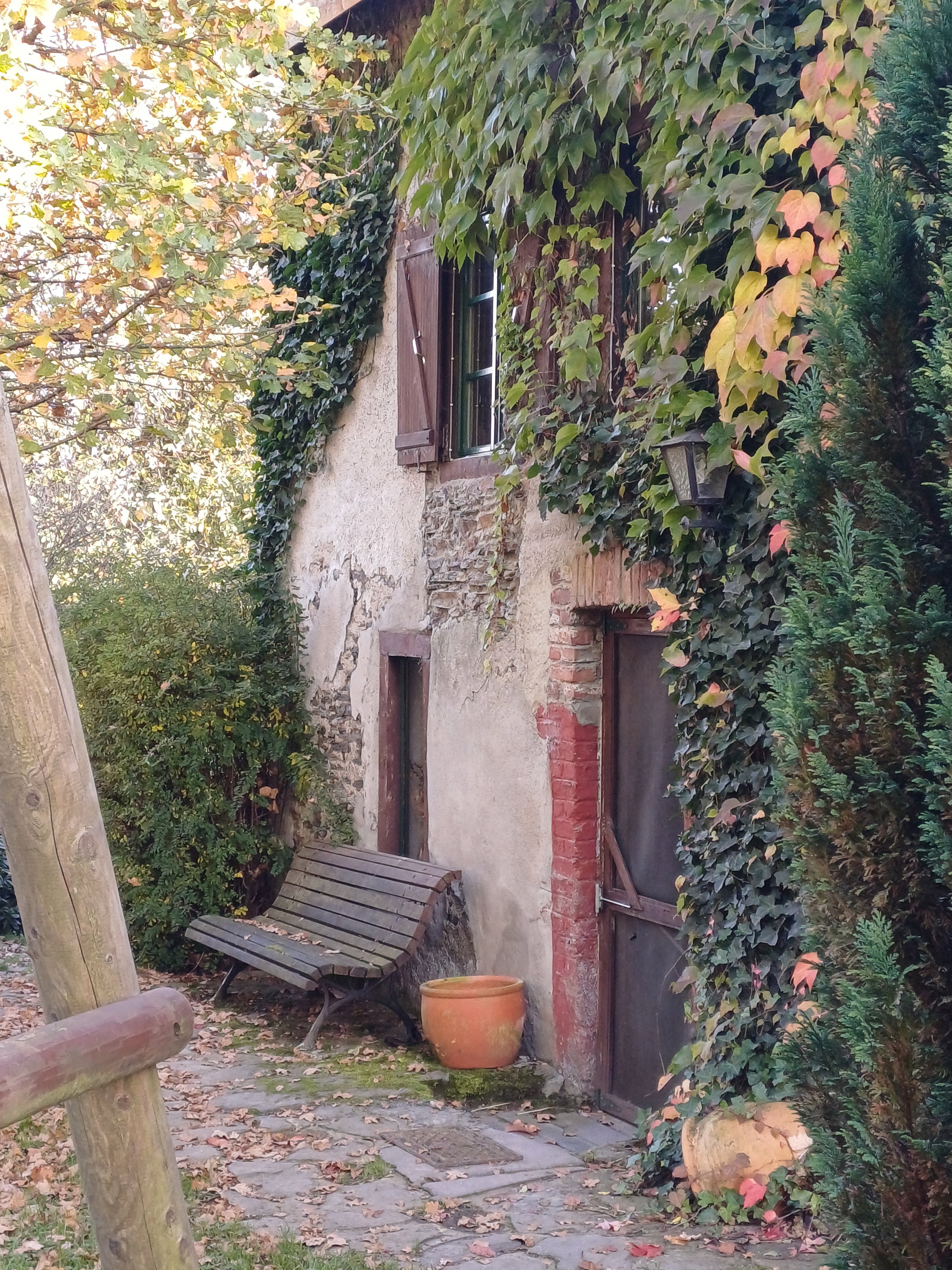 - image: 53
