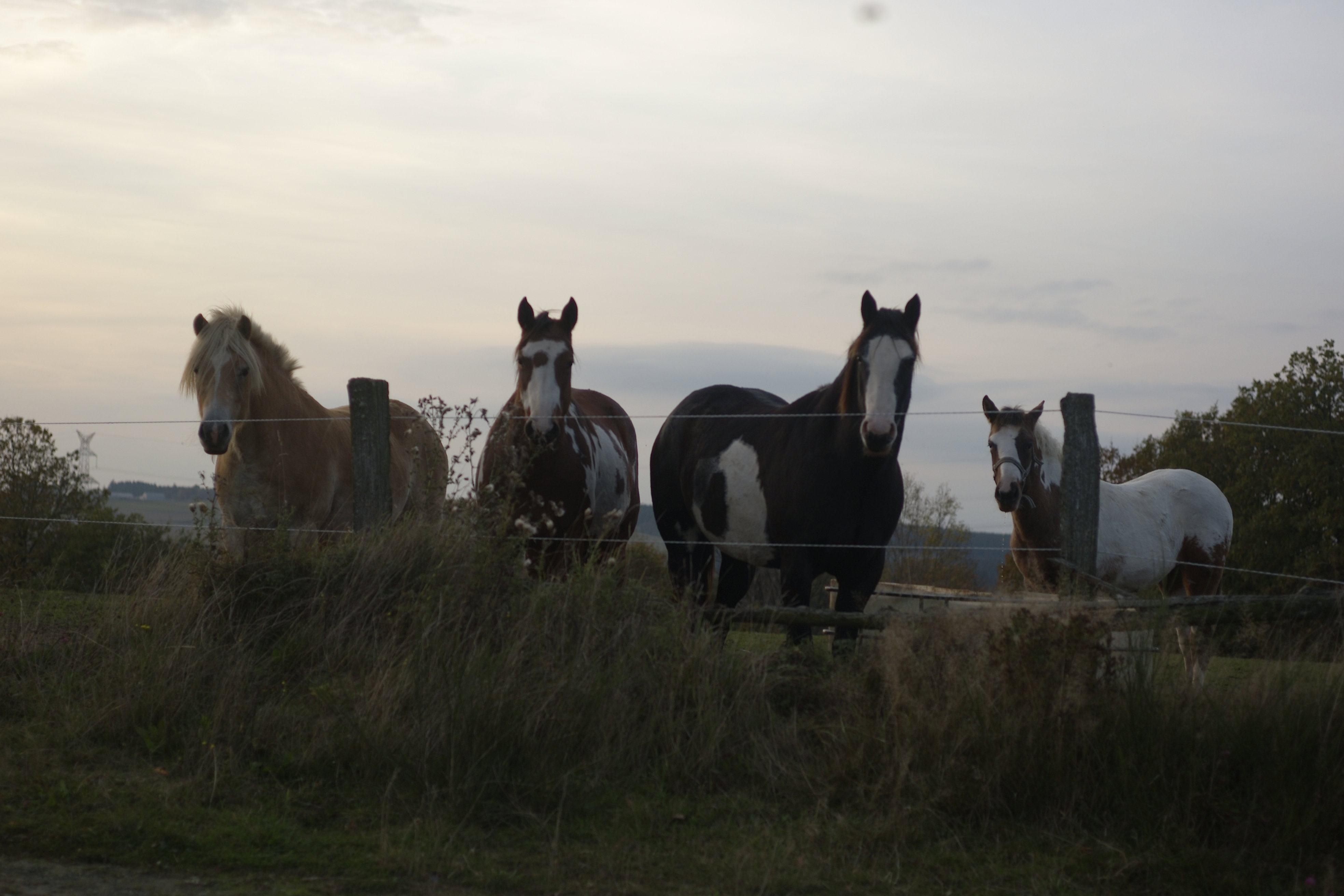 Naturhäuschen in Cherain