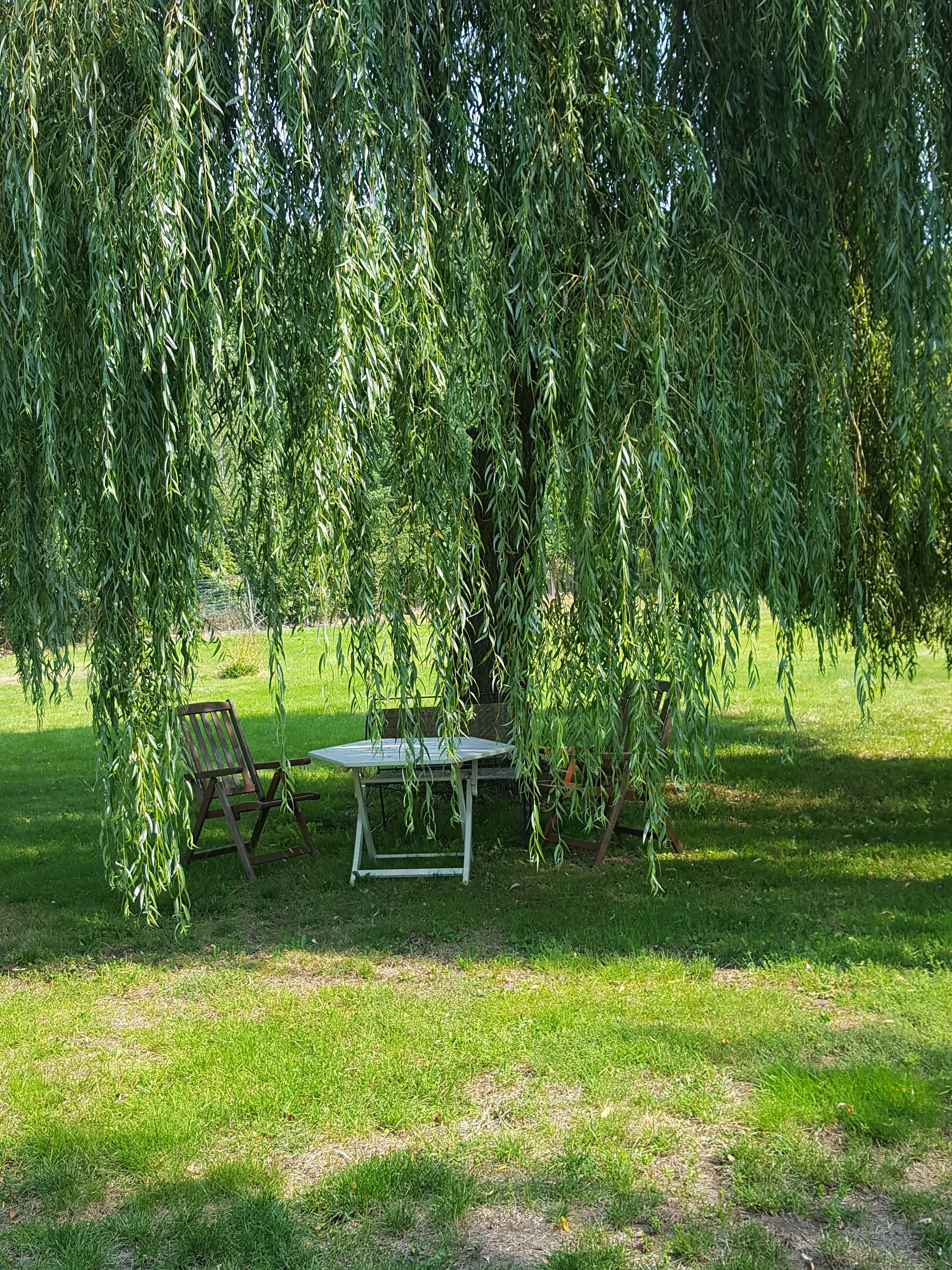 Natuurhuisje in Genk