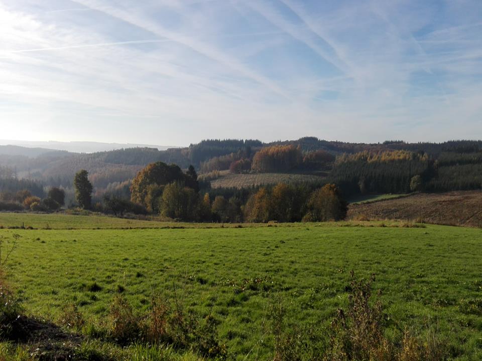 Natuurhuisje in Cornimont