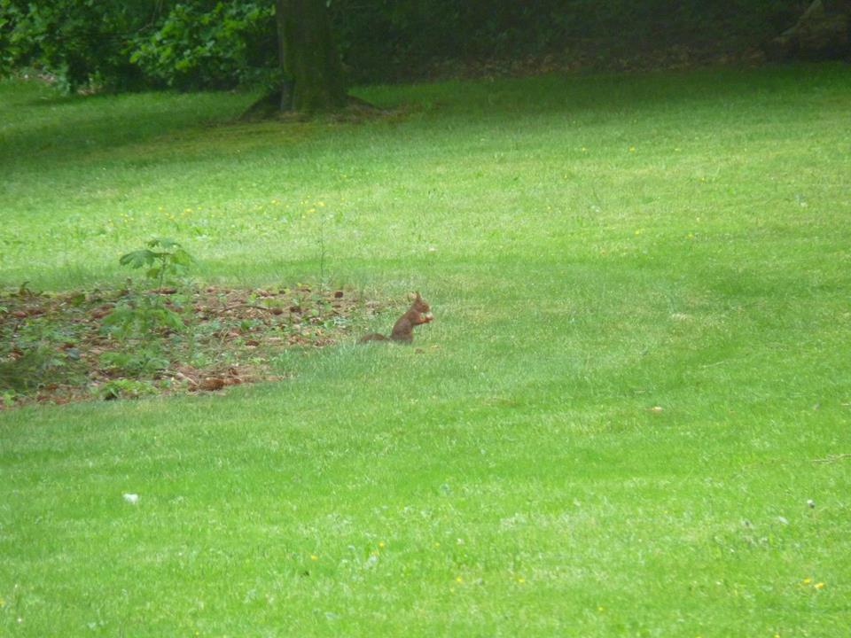 Naturhäuschen in Cornimont