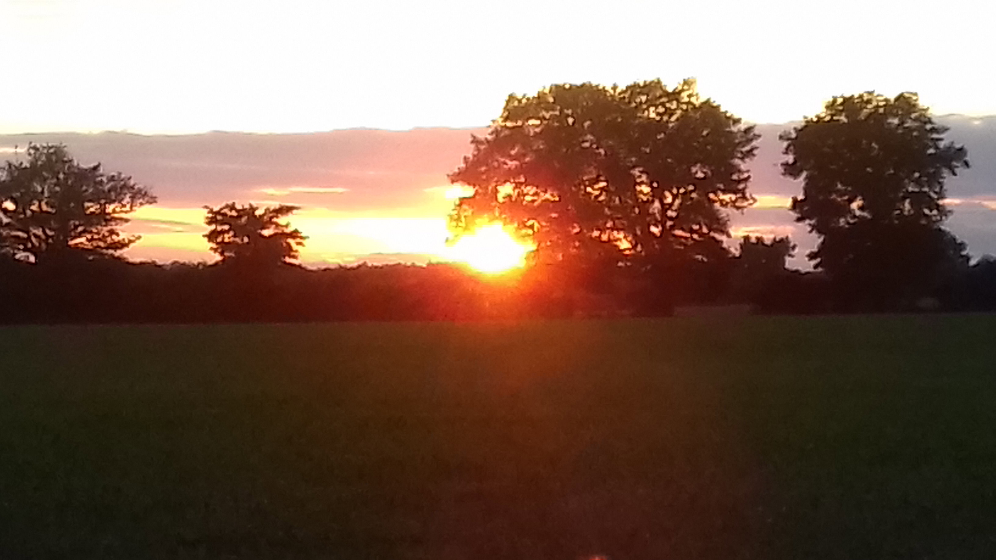 - image: 27