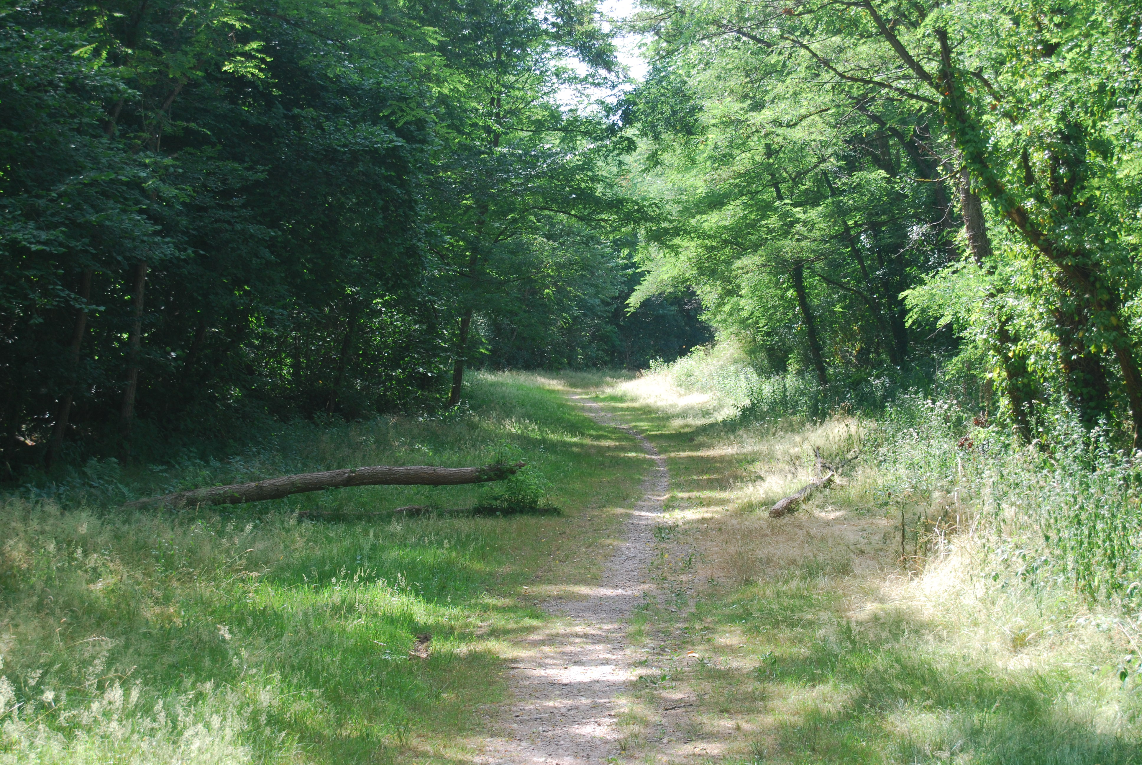 - image: 17