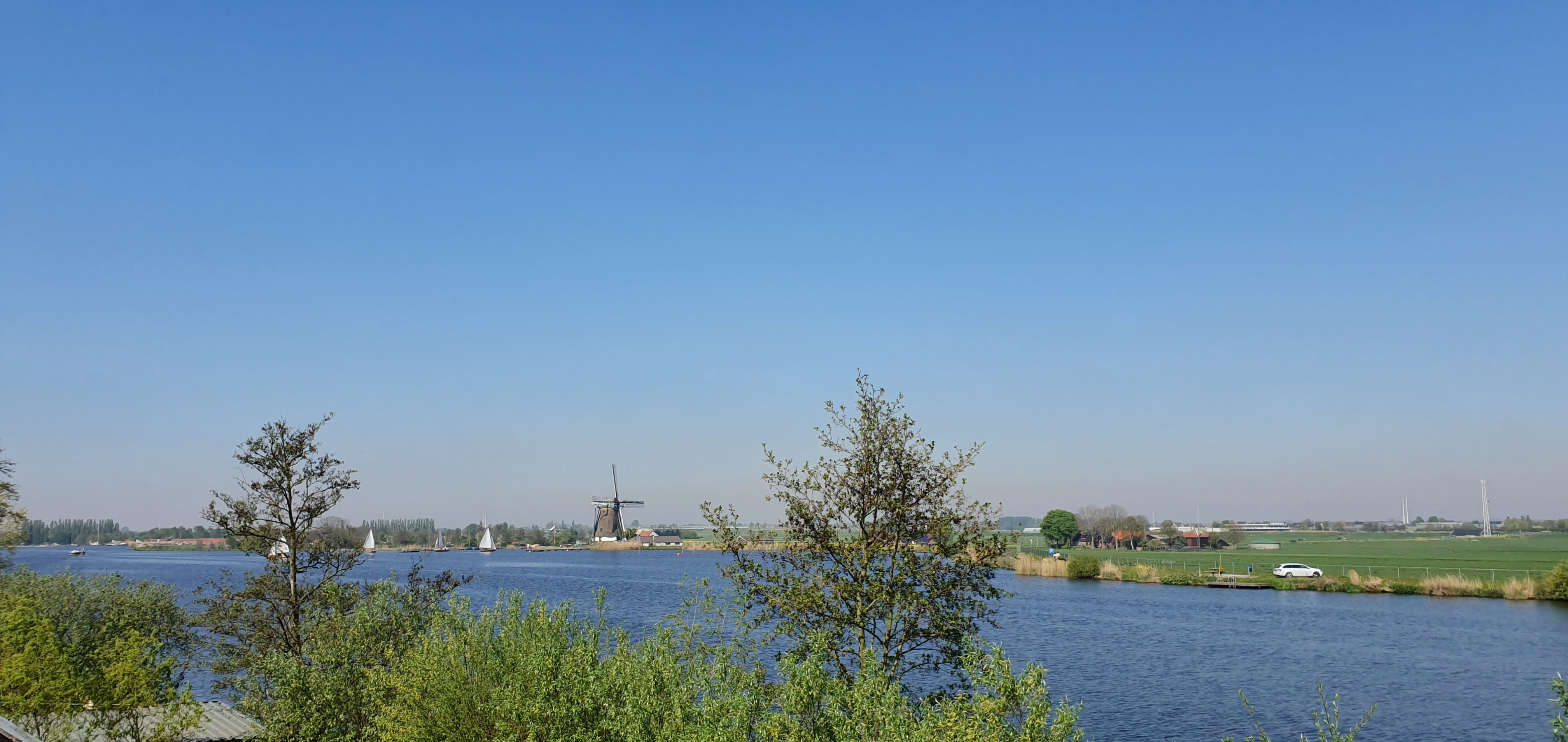 - image: 12