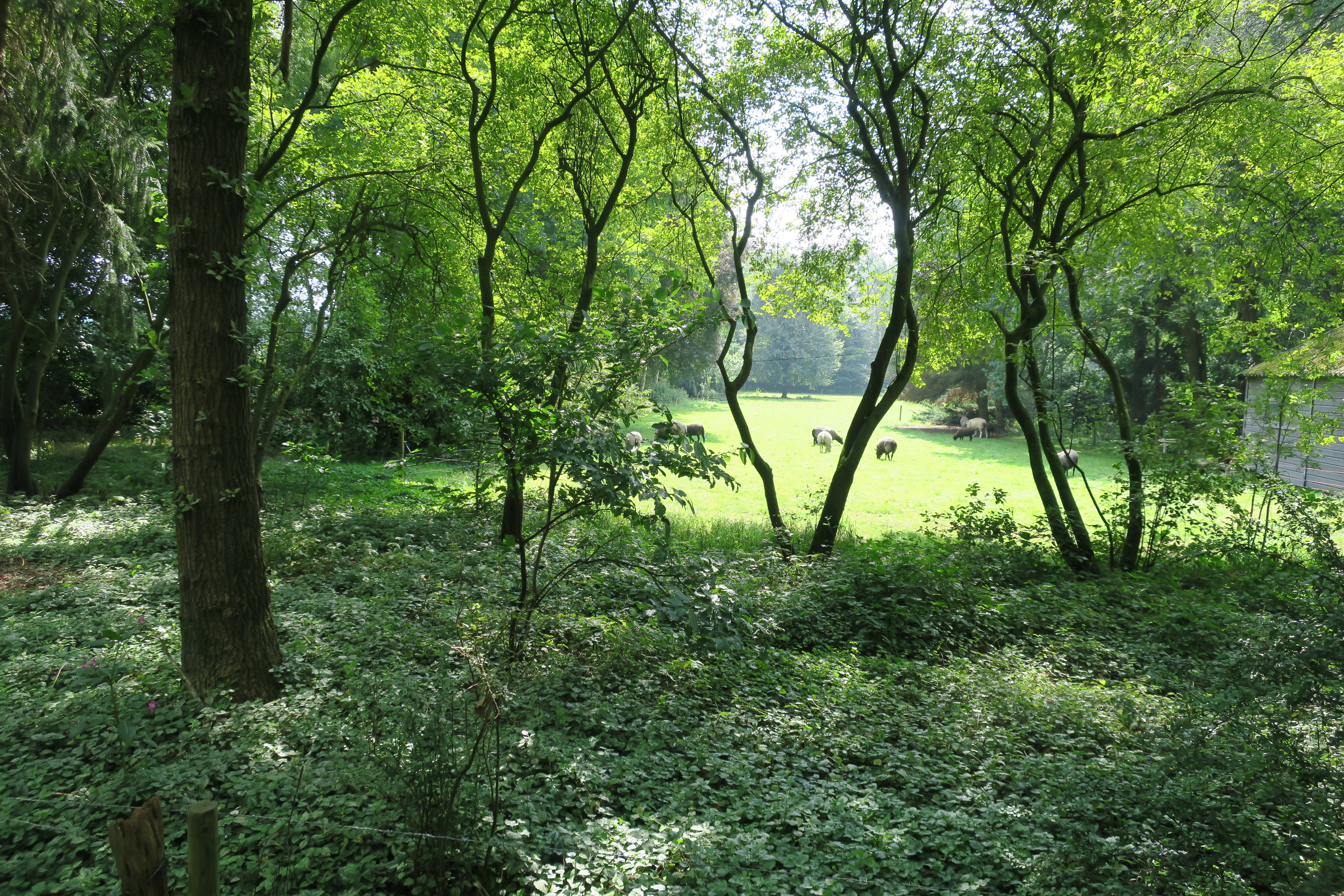 Naturhäuschen in Boijl