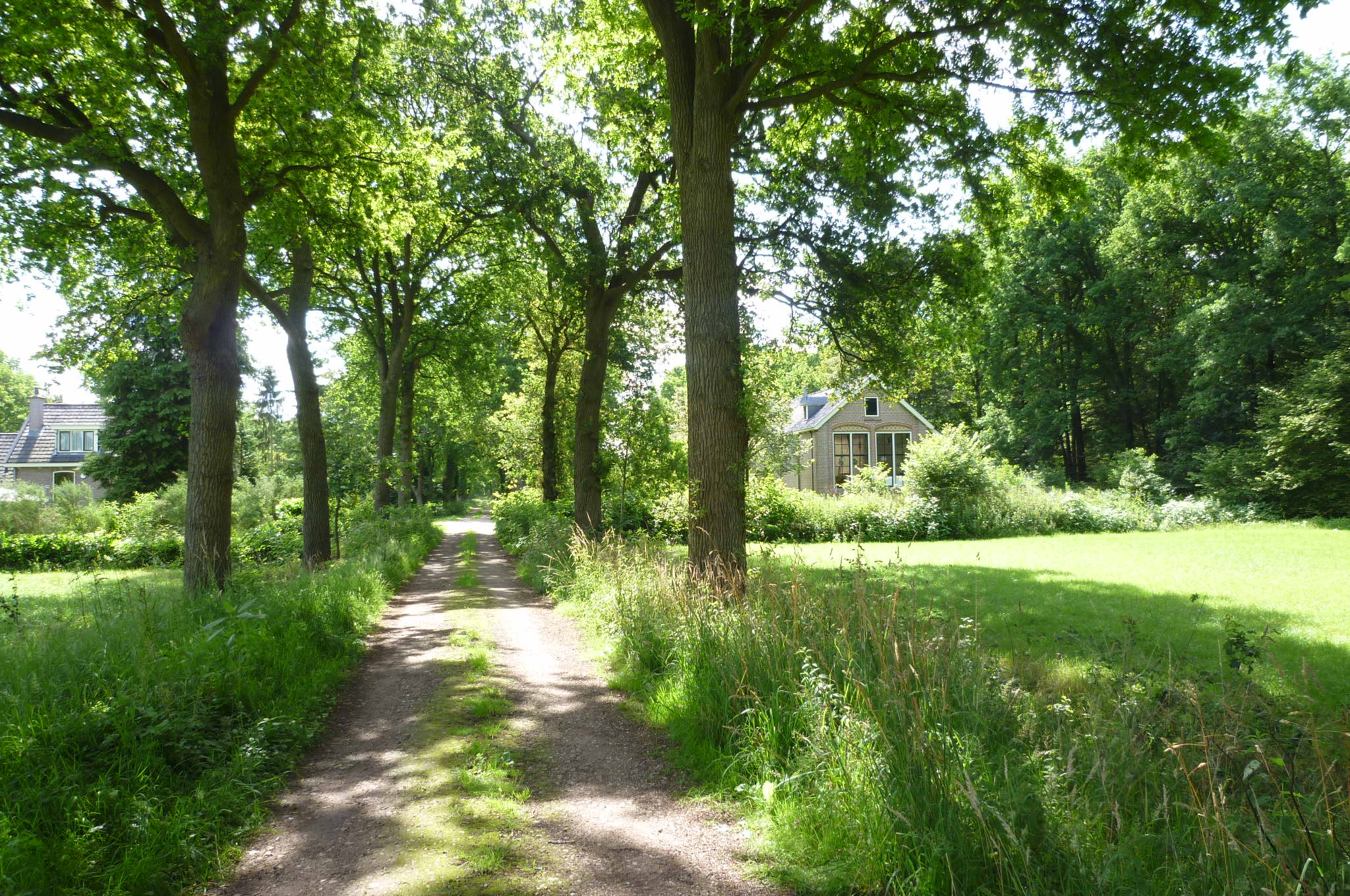 Naturhäuschen in Boijl