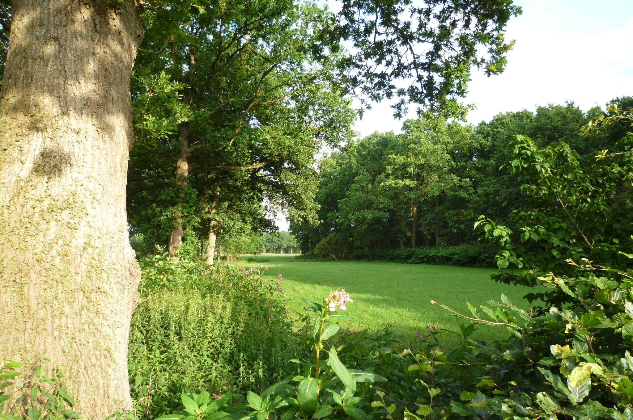 Naturhäuschen in Boijl