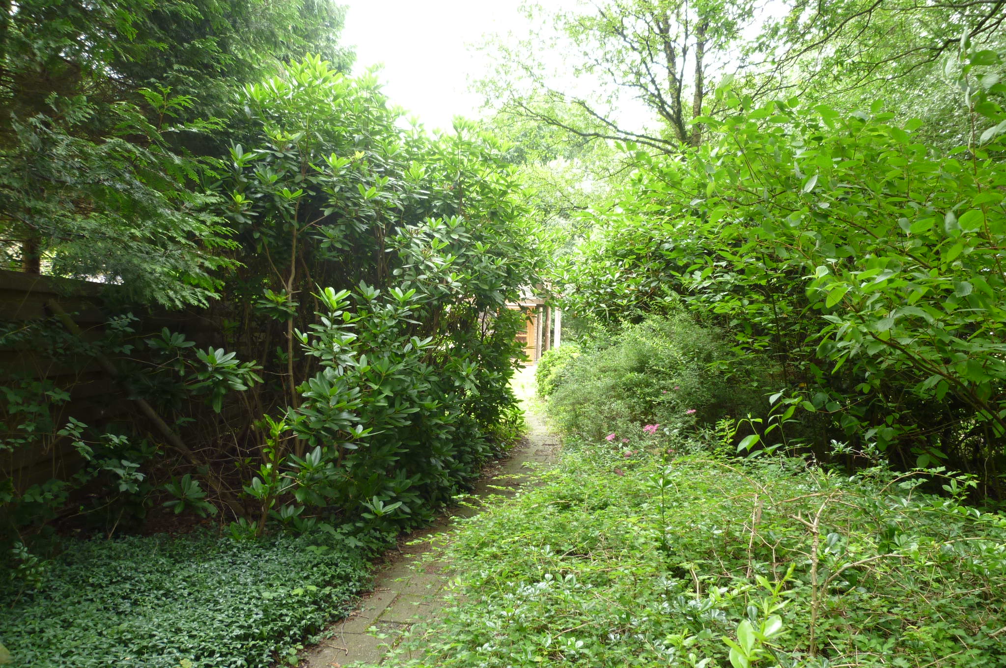 Naturhäuschen in Boijl