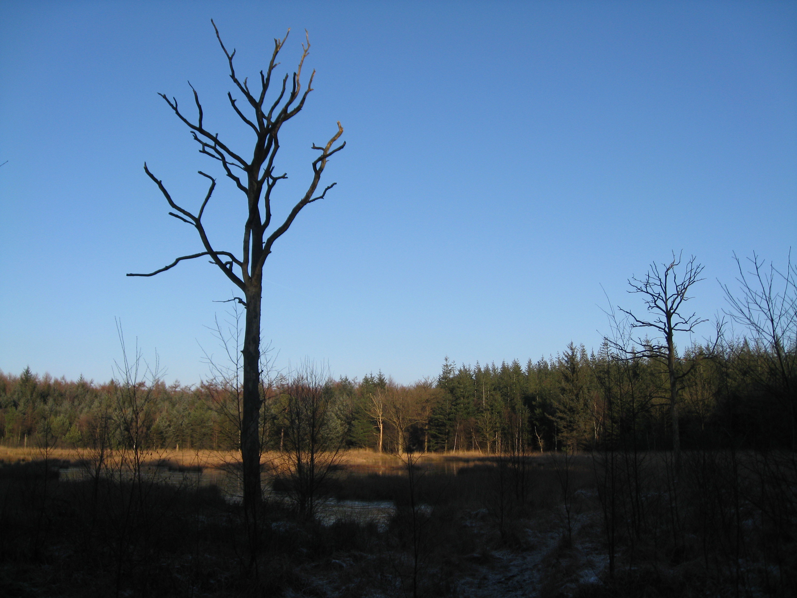 Naturhäuschen in Boijl