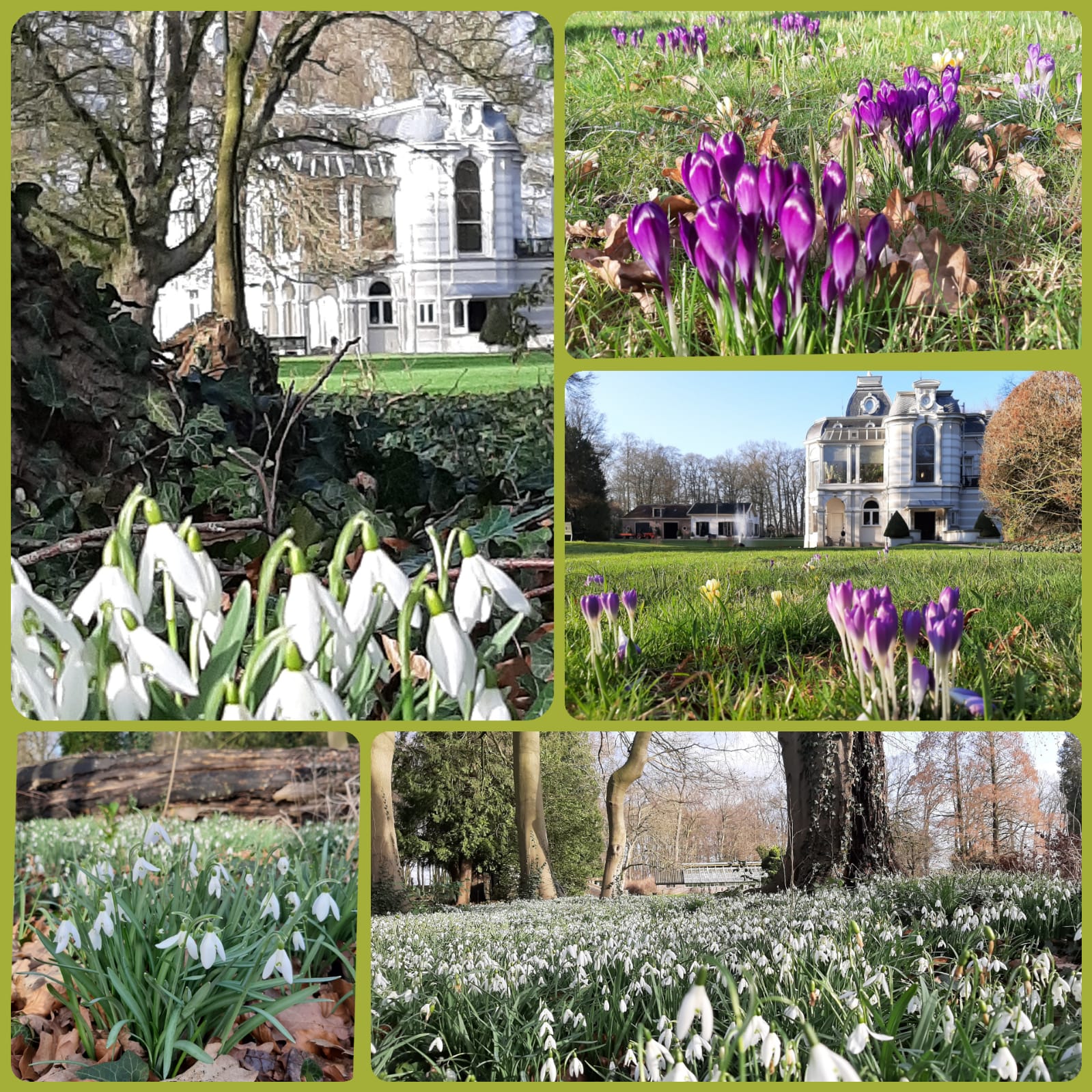 Maison nature à Terwolde
