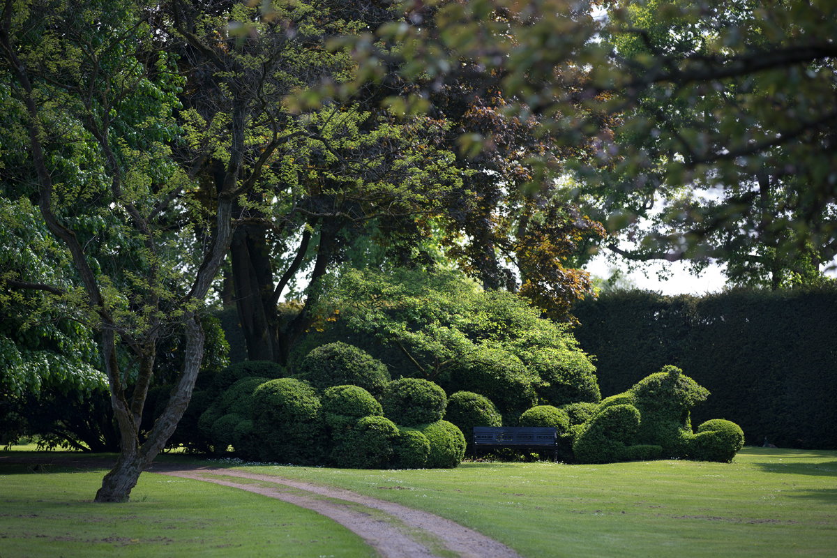 - image: 20