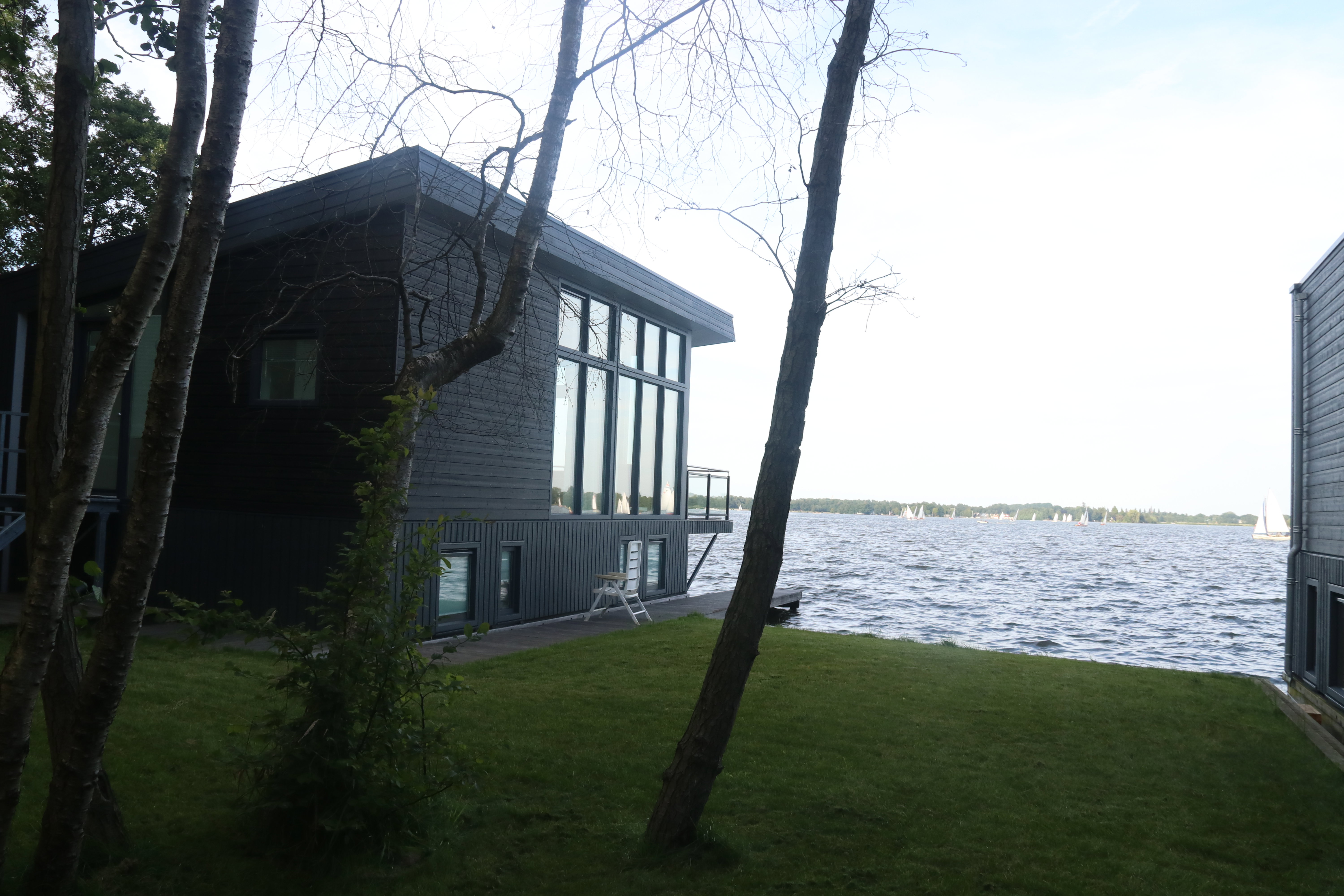 - image: 1