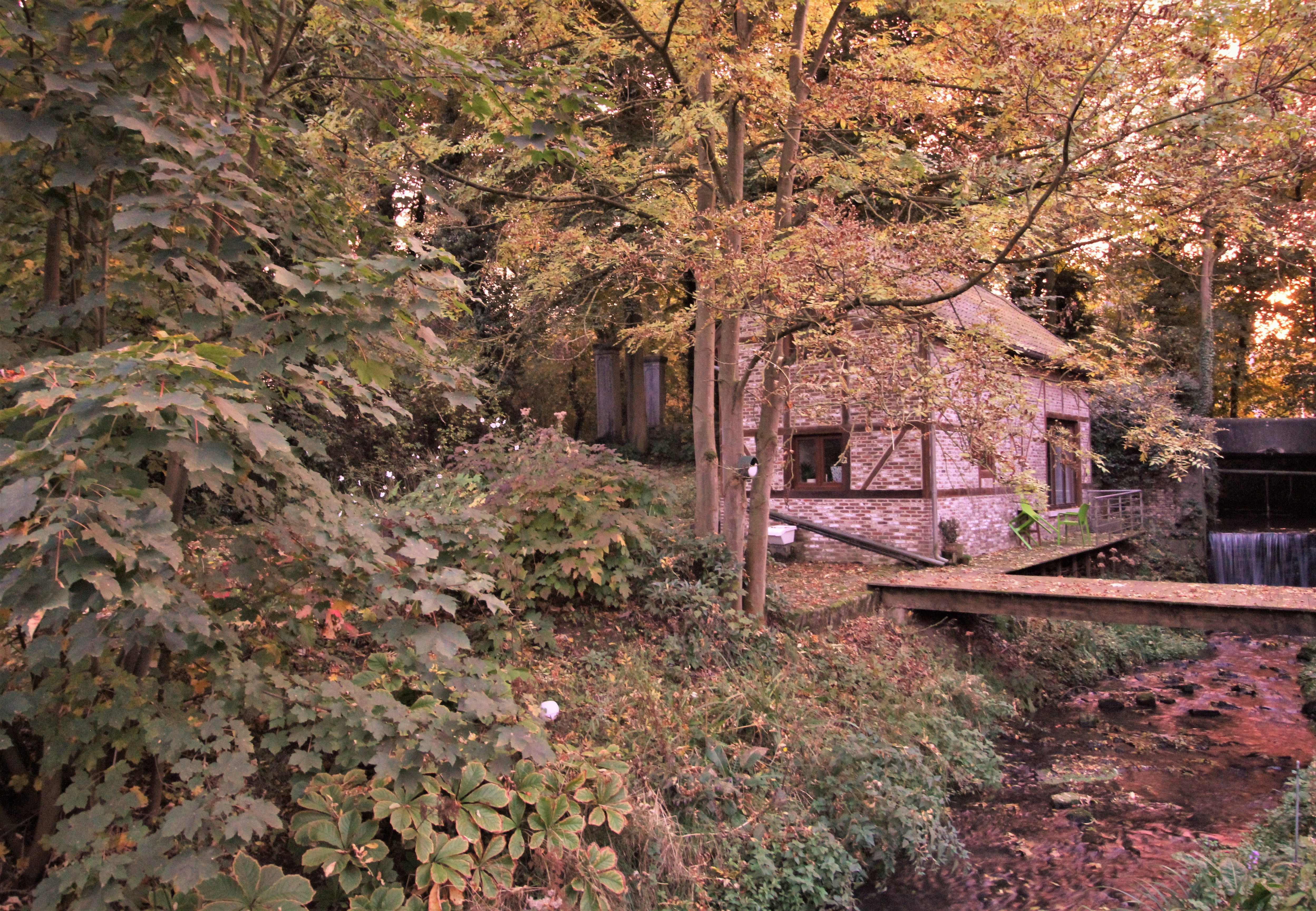 Maison nature à Vertrijk