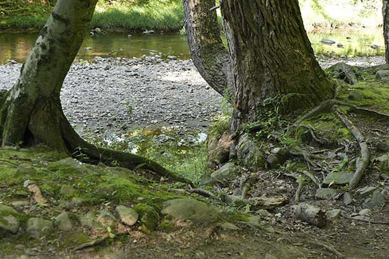 - image: 16